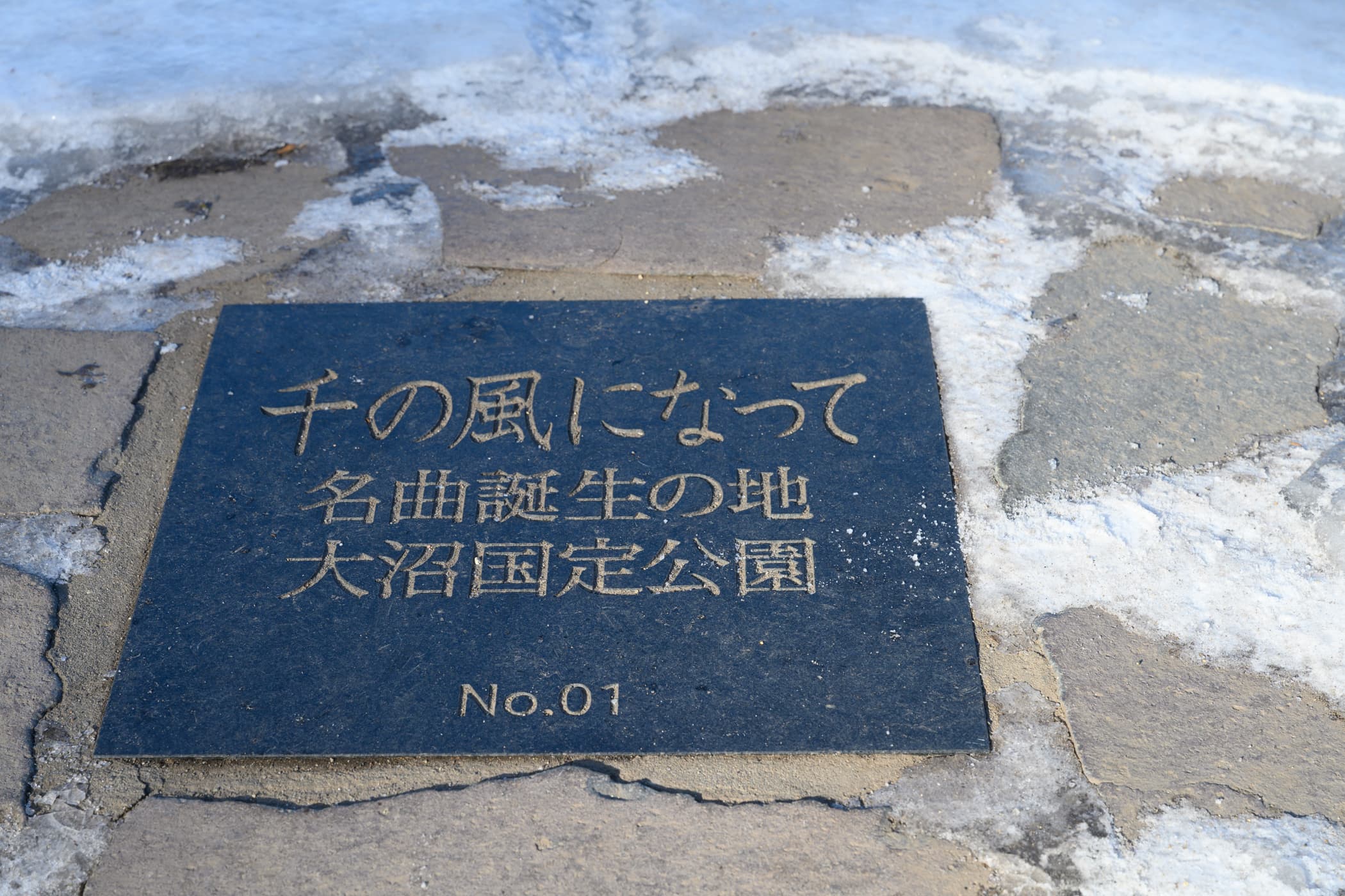 dsc_6086.jpg