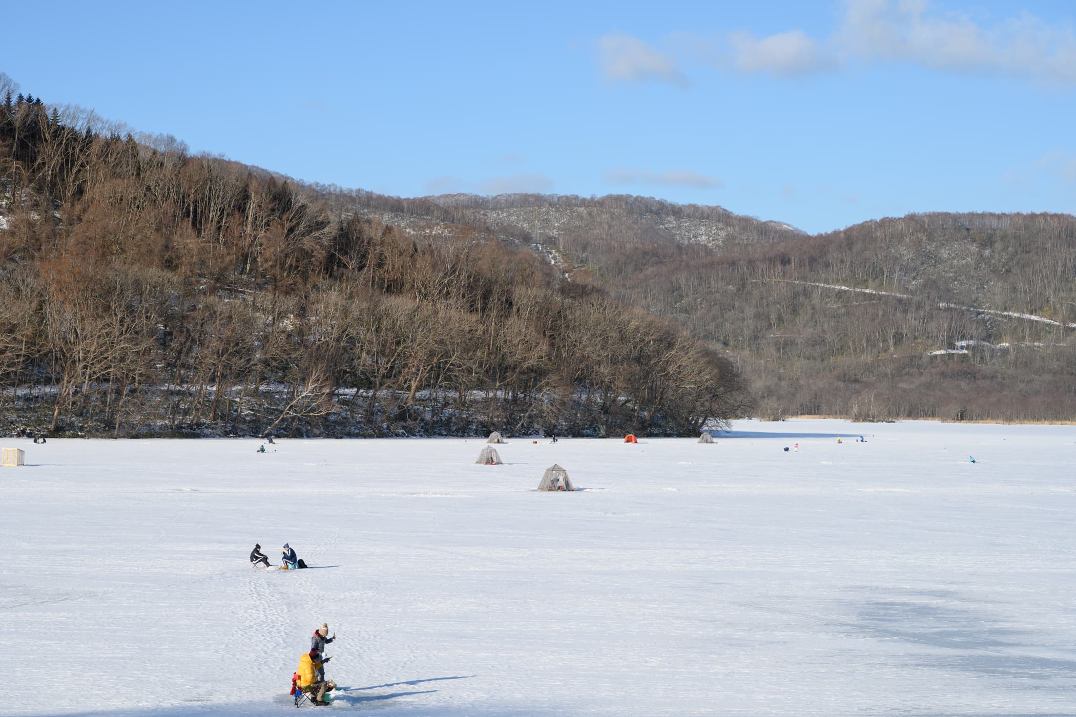 dsc_6016.jpg