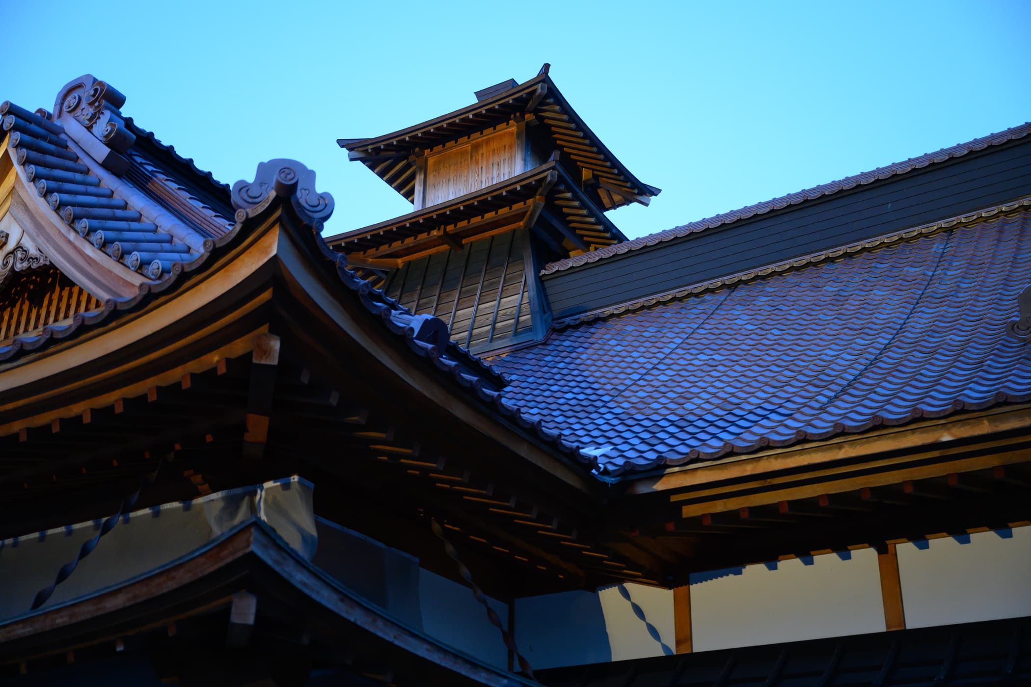 dsc_5985.jpg
