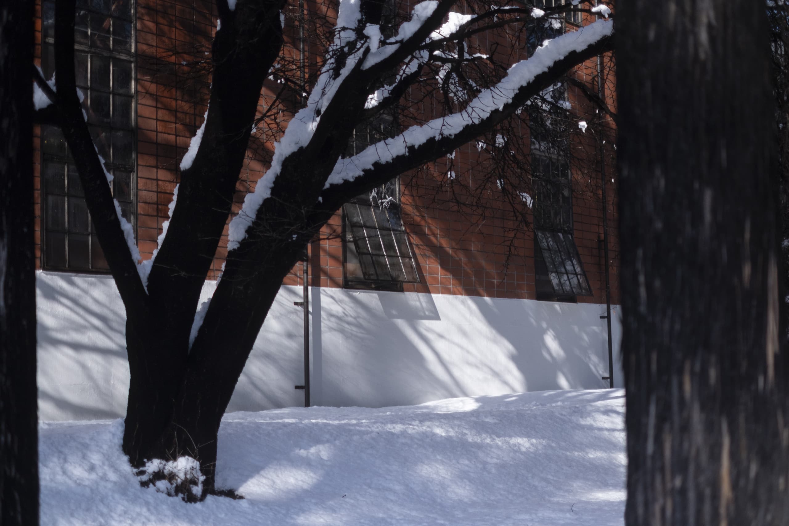 yamagata_082.jpg