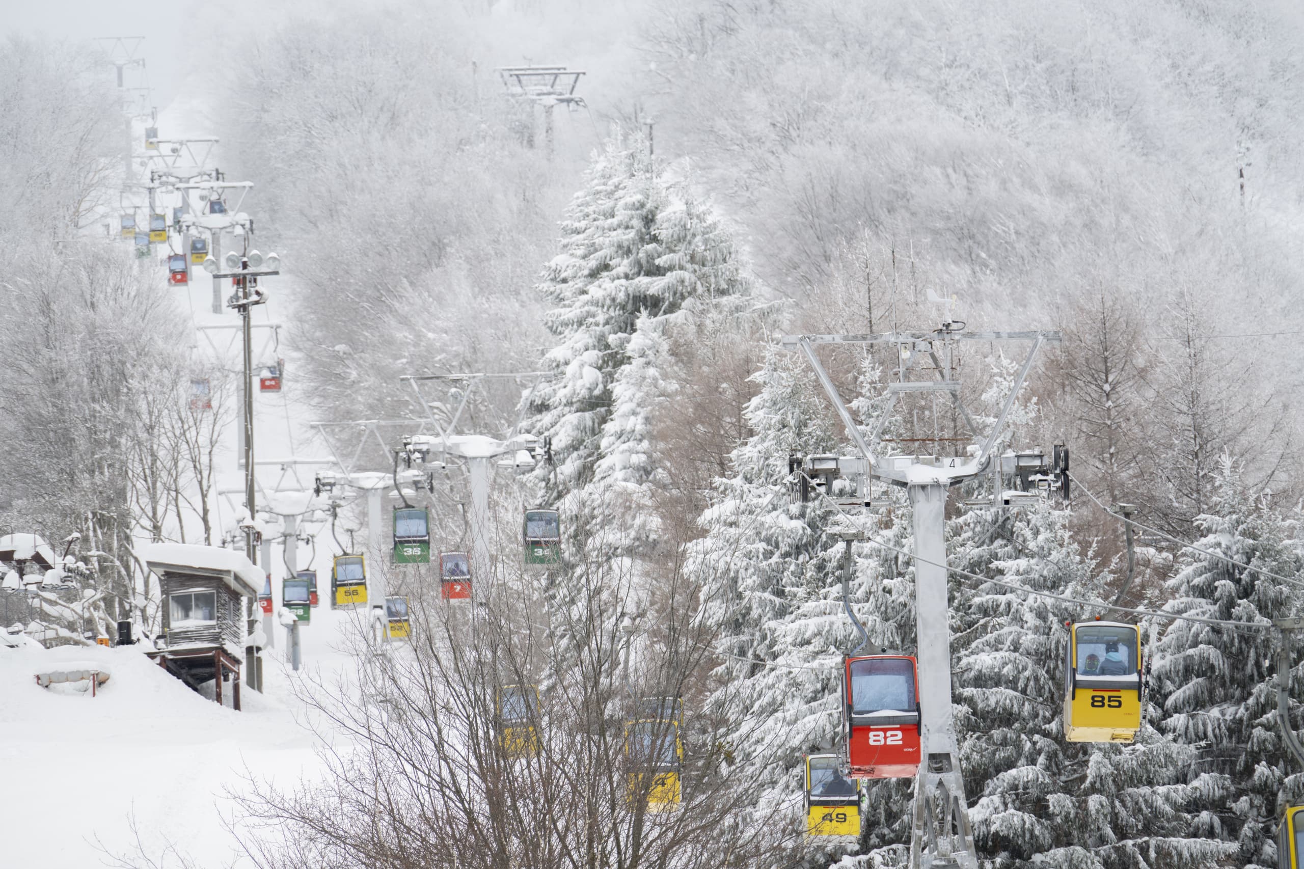 yamagata_064.jpg
