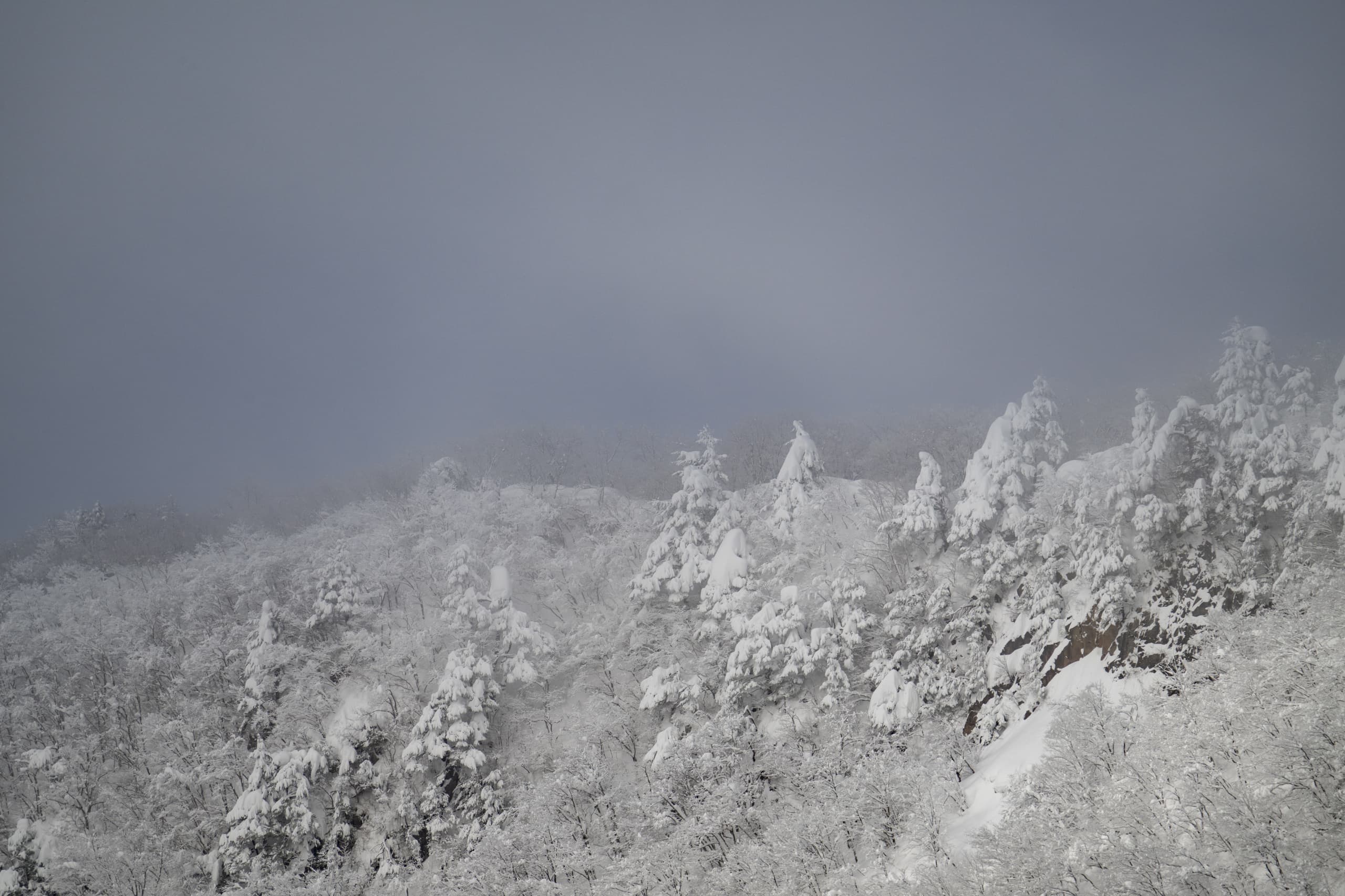 yamagata_066.jpg