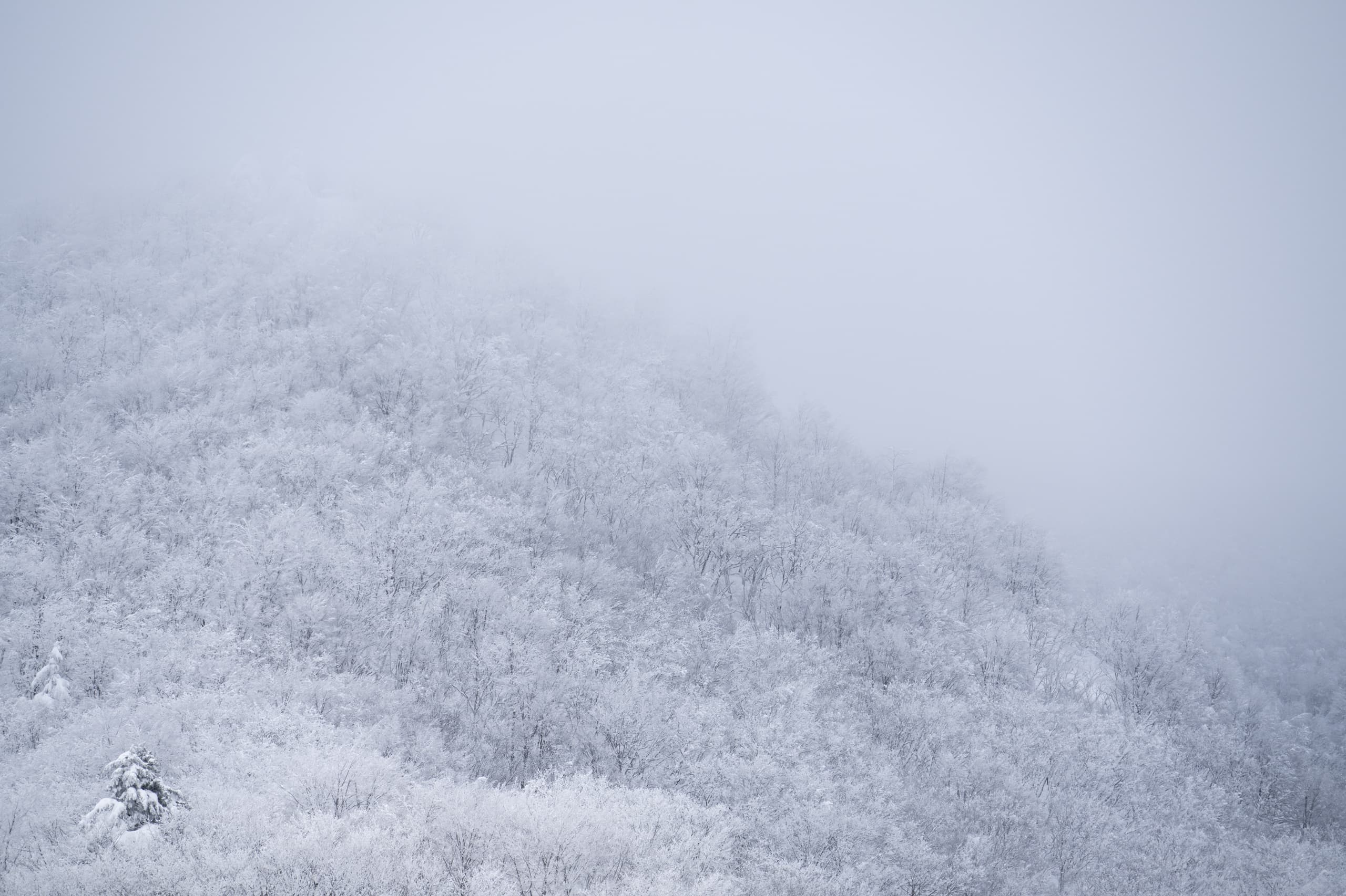 yamagata_063.jpg