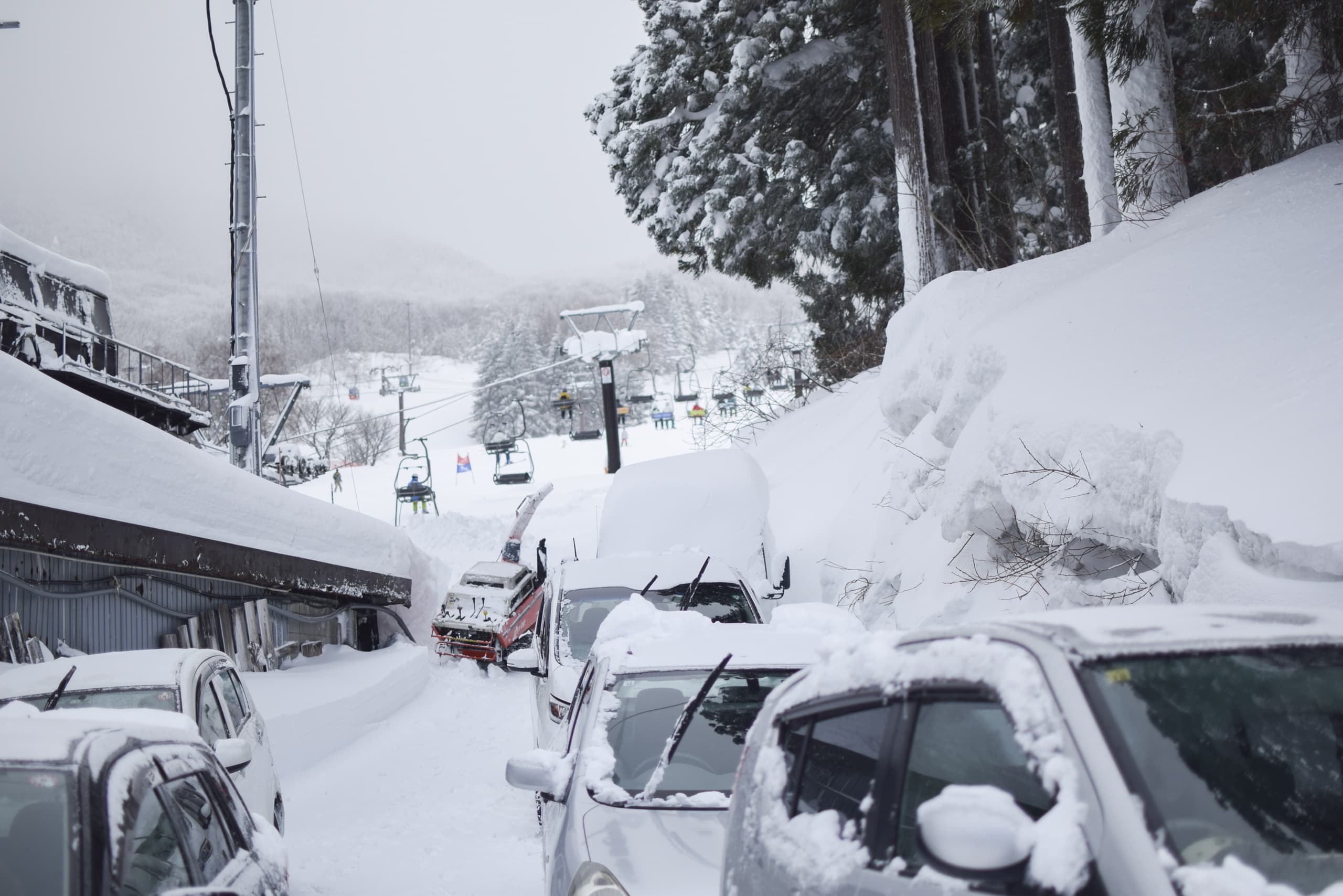 yamagata_061.jpg