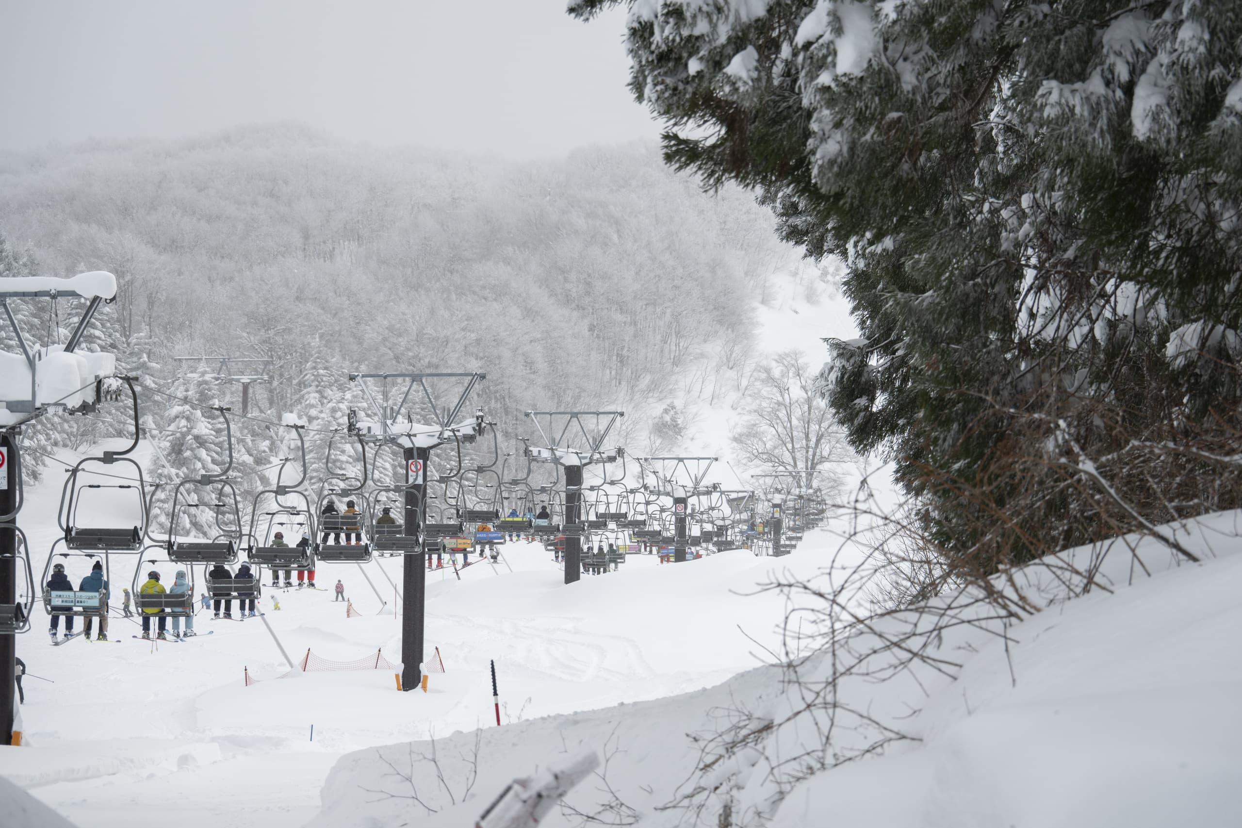yamagata_060.jpg