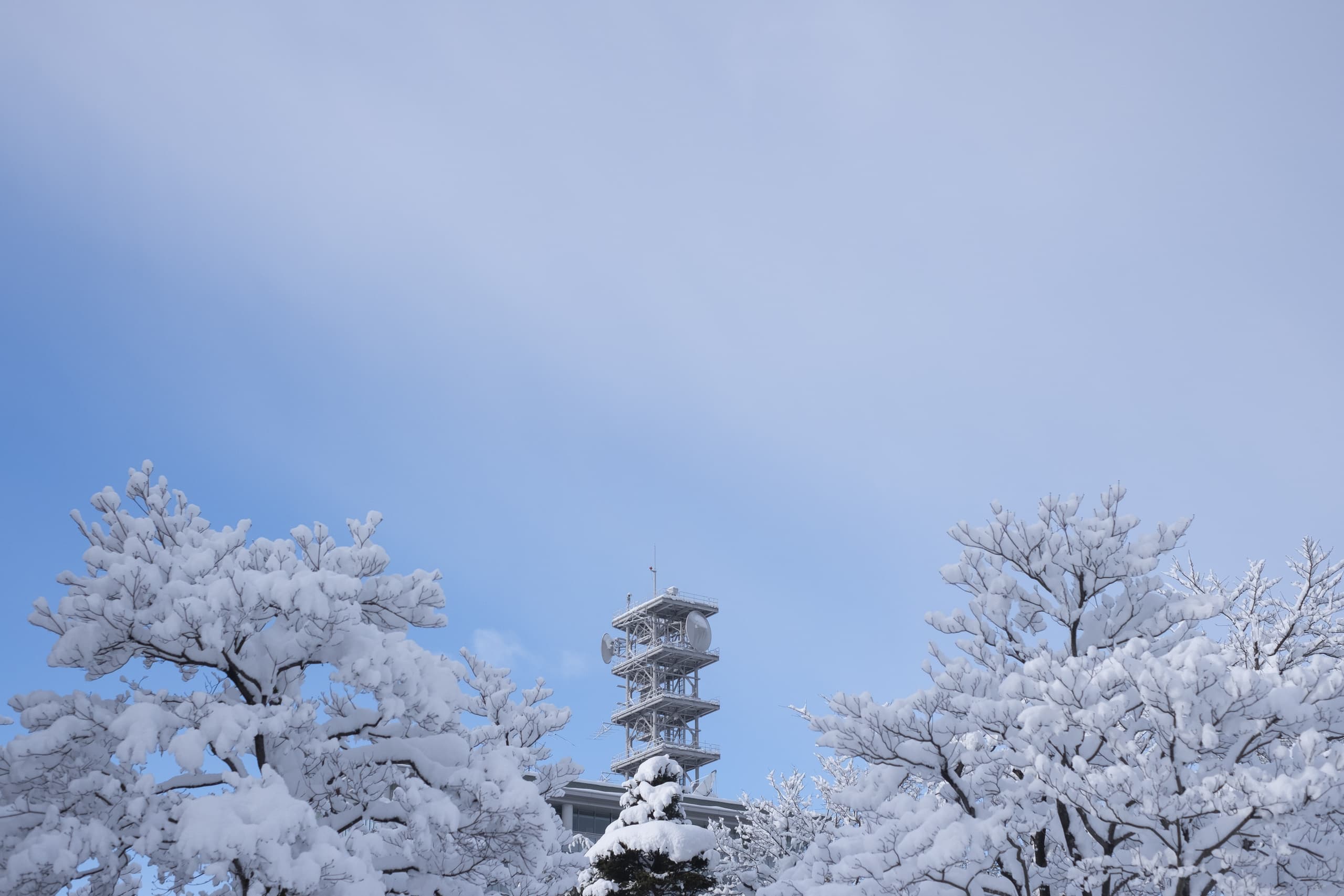 yamagata_059.jpg