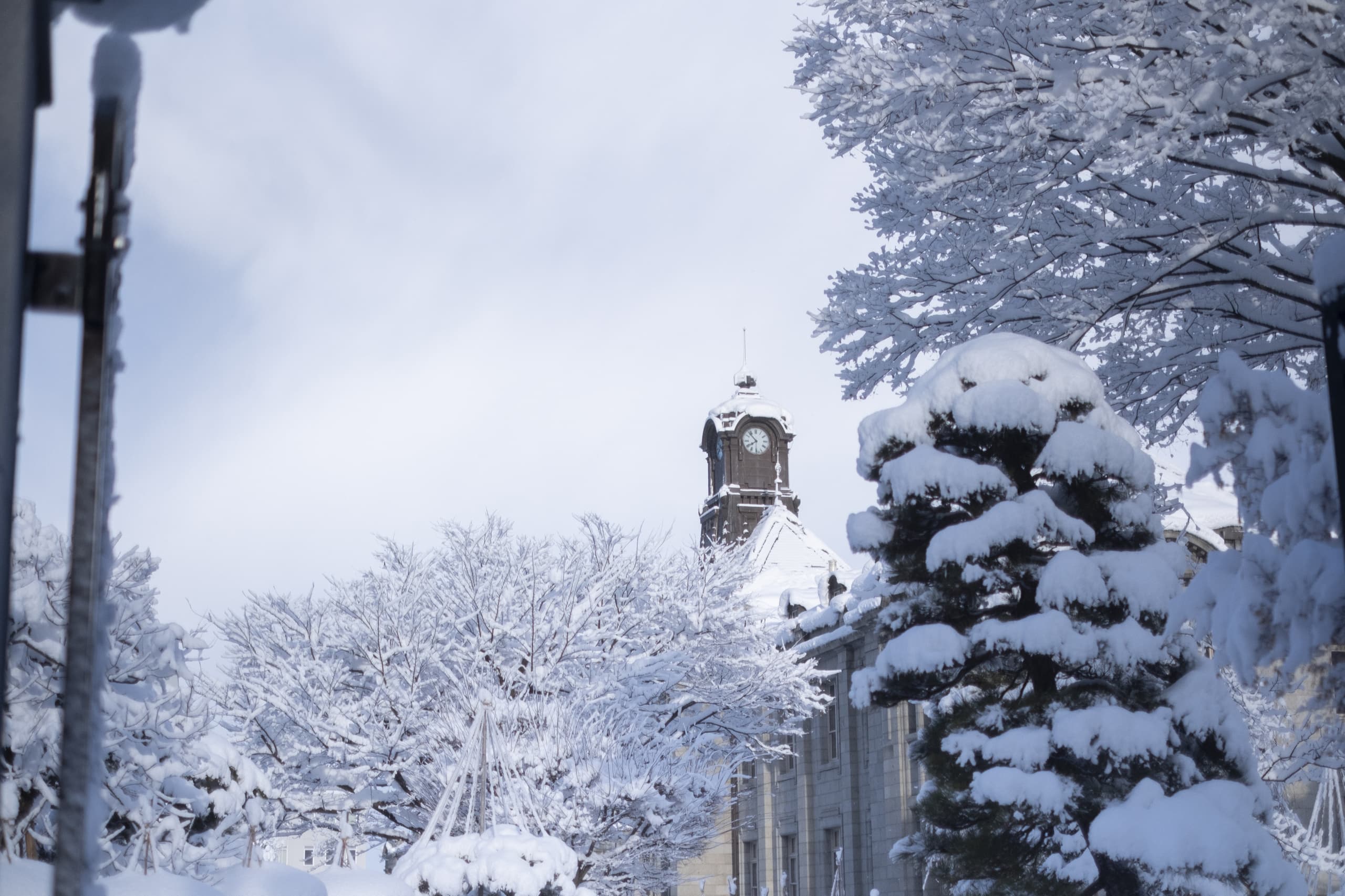 yamagata_052.jpg