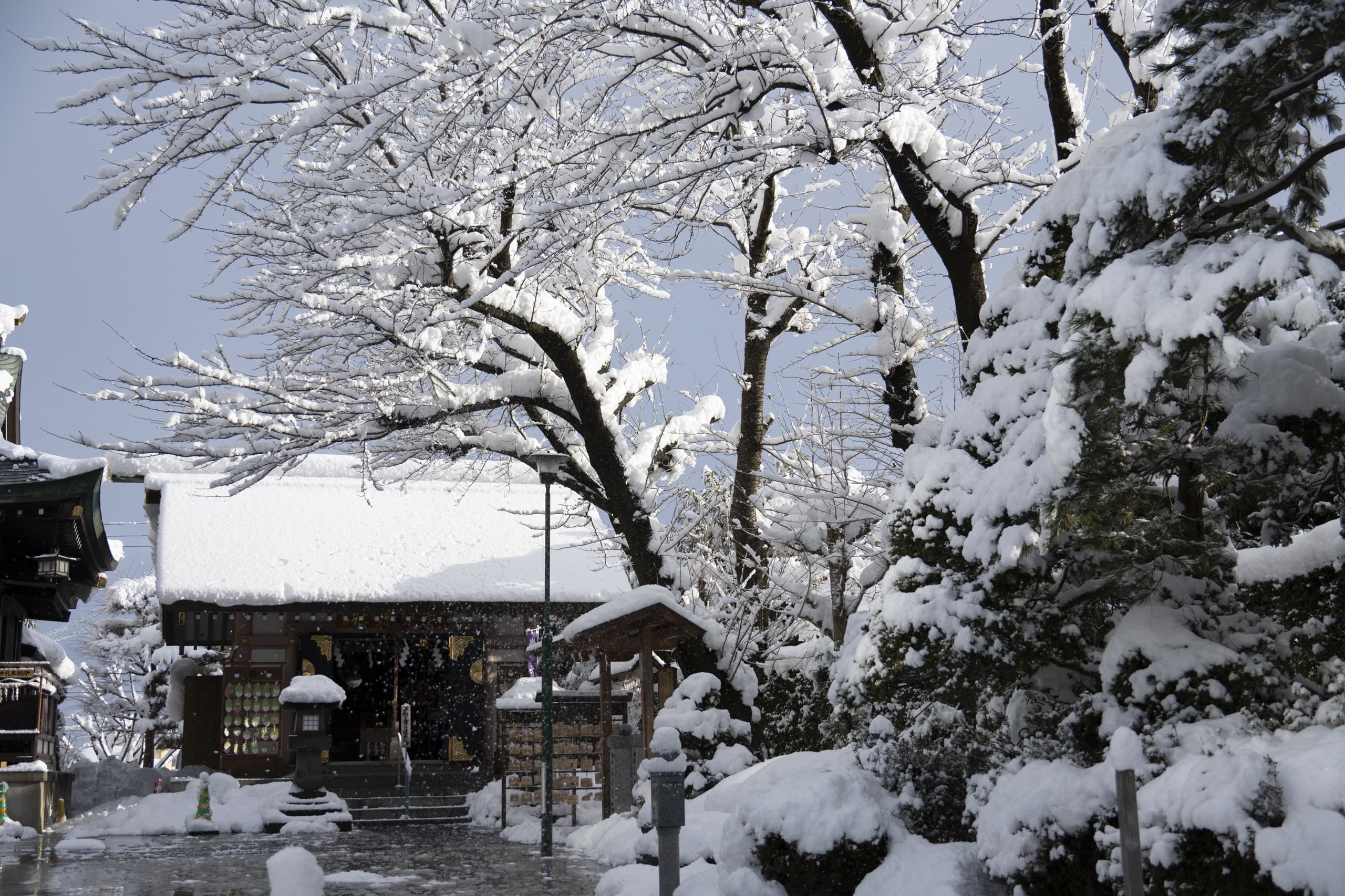 yamagata_048.jpg