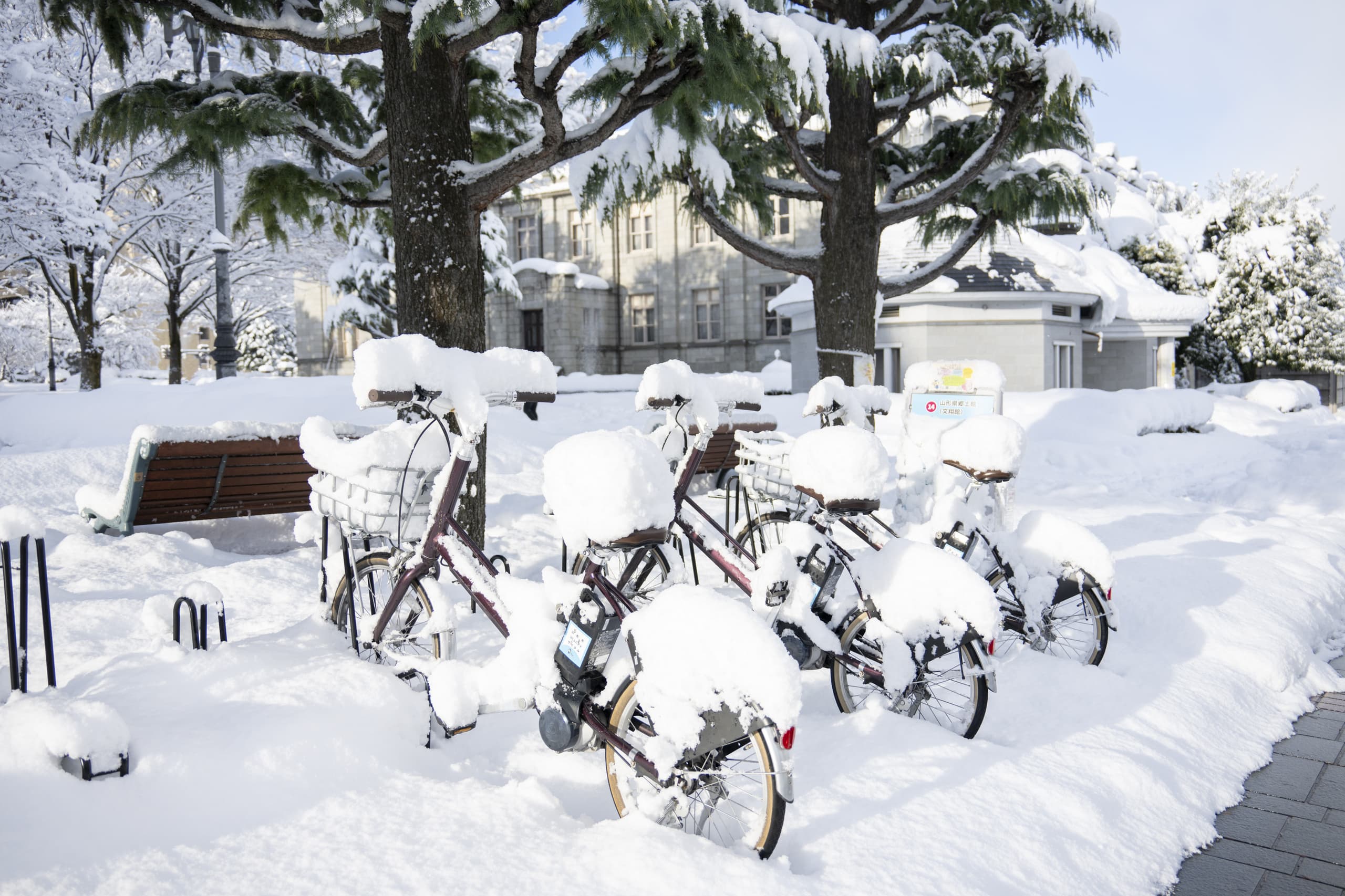 yamagata_043.jpg