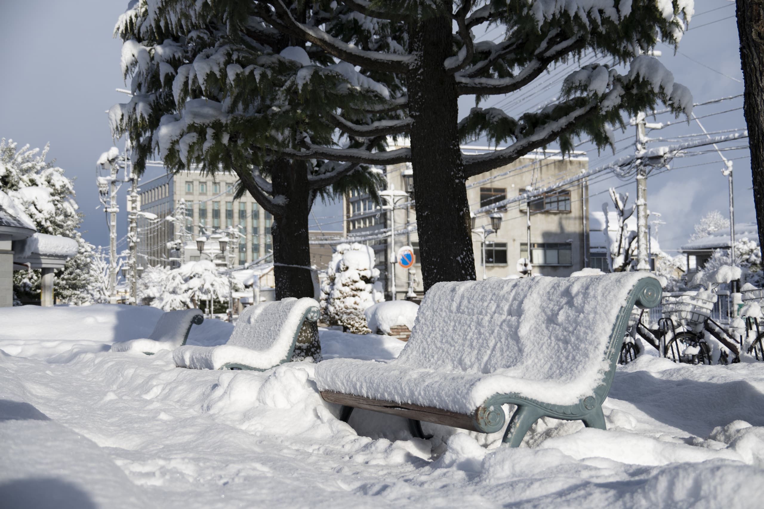 yamagata_041.jpg