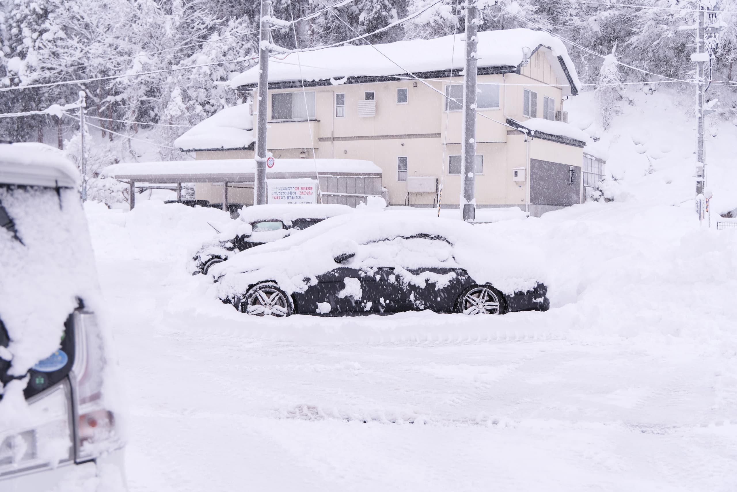 yamagata_044.jpg