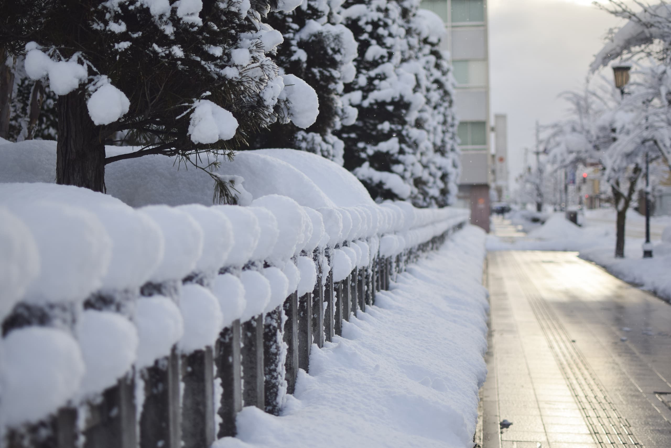 yamagata_037.jpg
