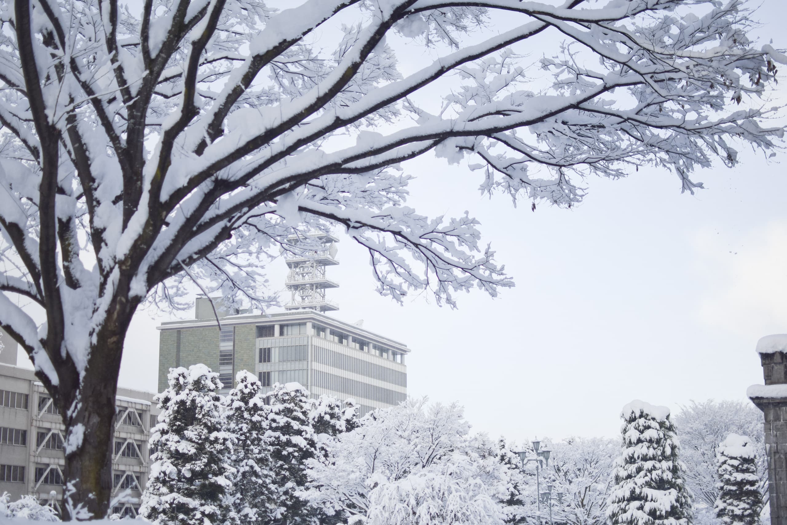 yamagata_034.jpg