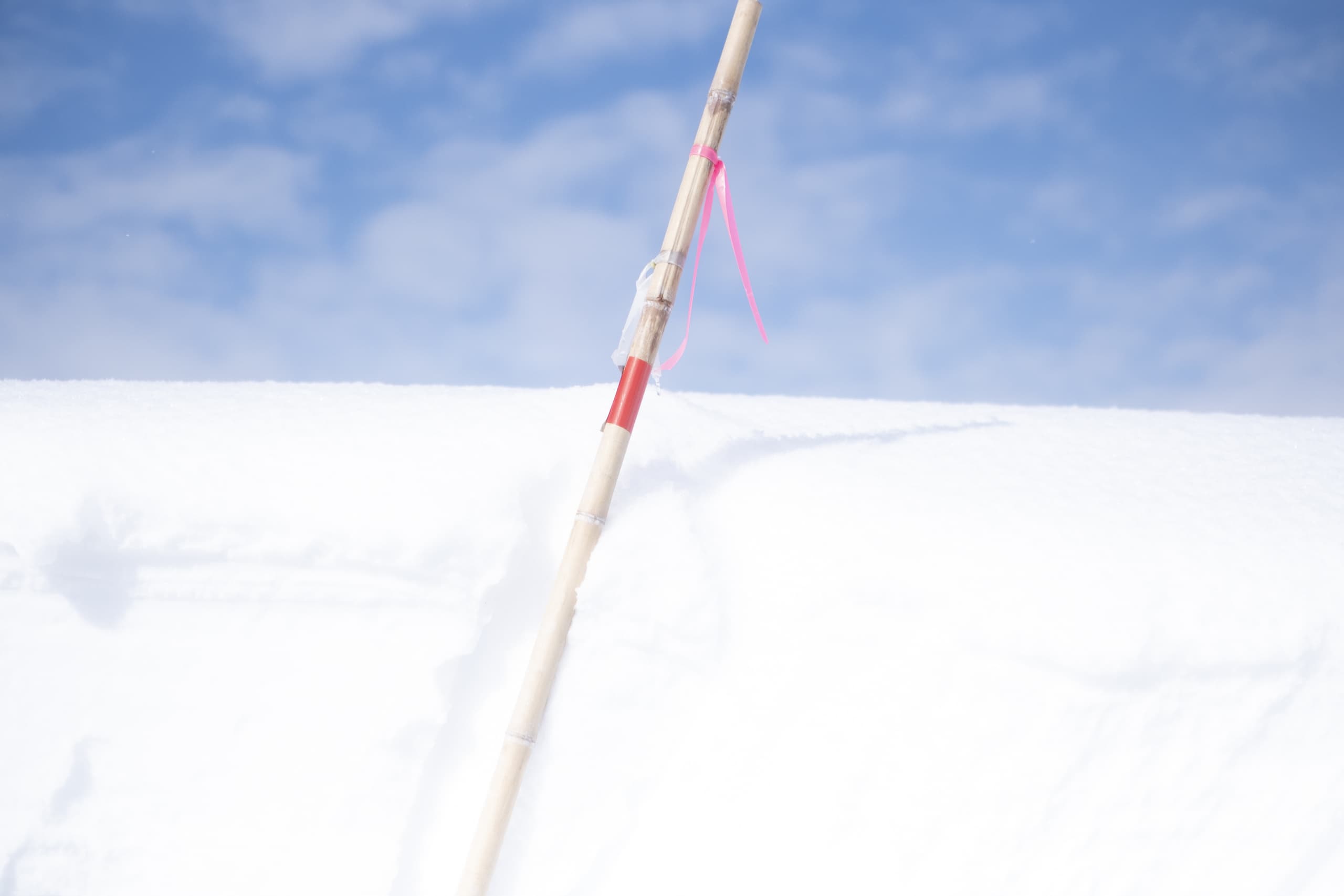 yamagata_017.jpg