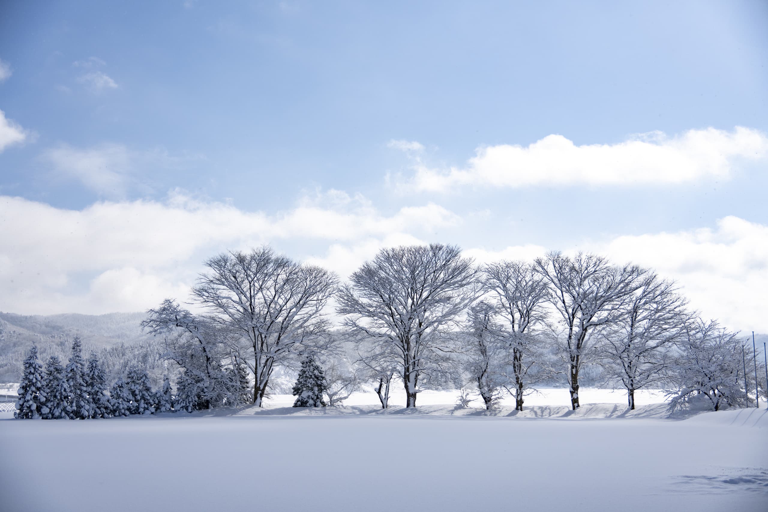 yamagata_011.jpg