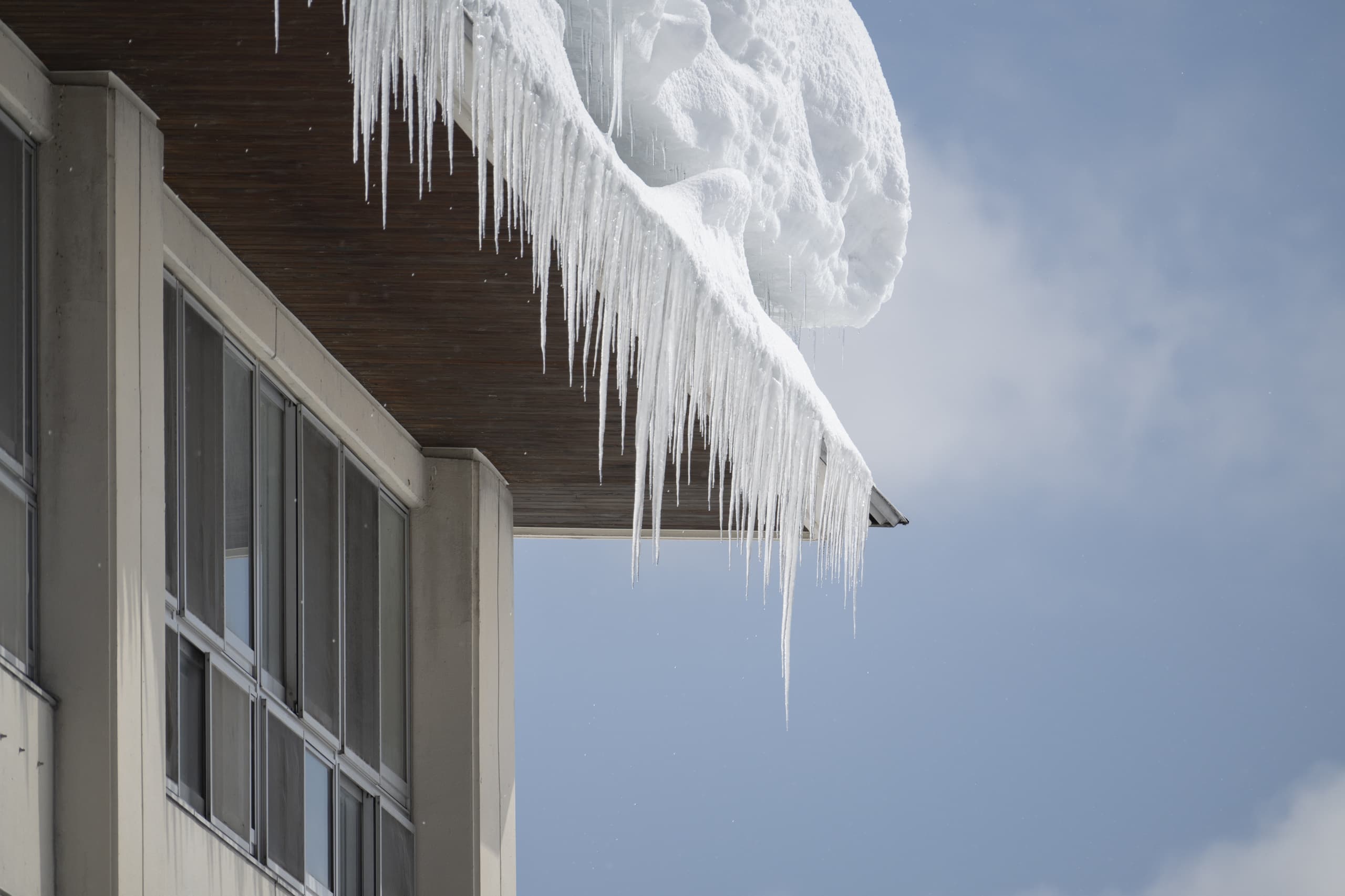 yamagata_012.jpg