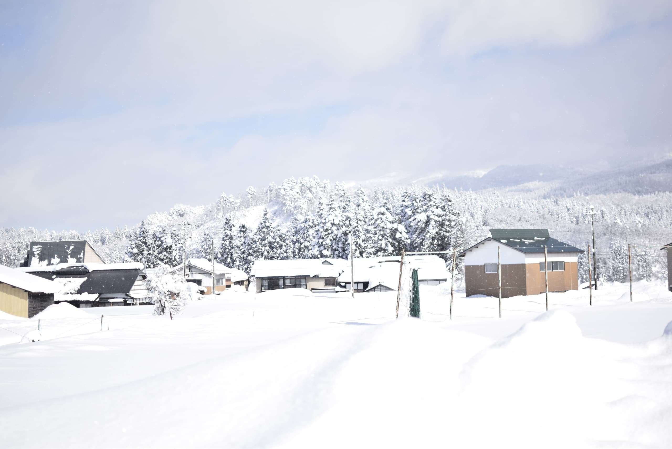 yamagata_010.jpg