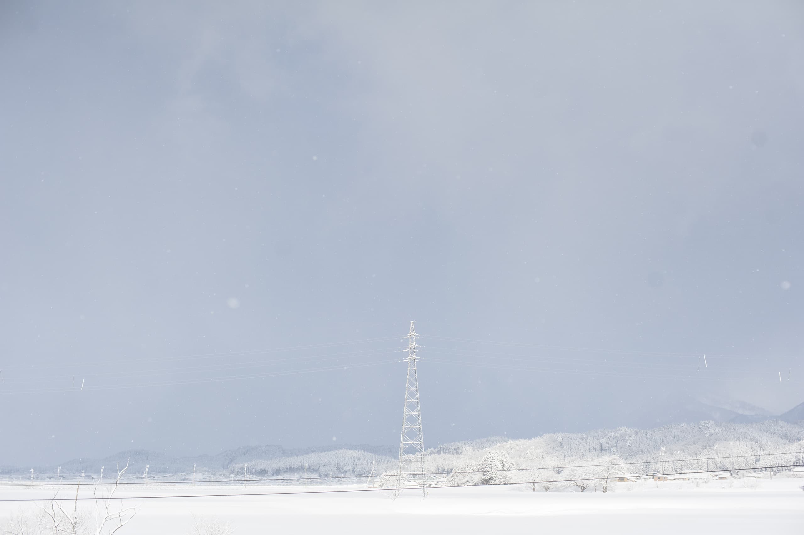 yamagata_003.jpg