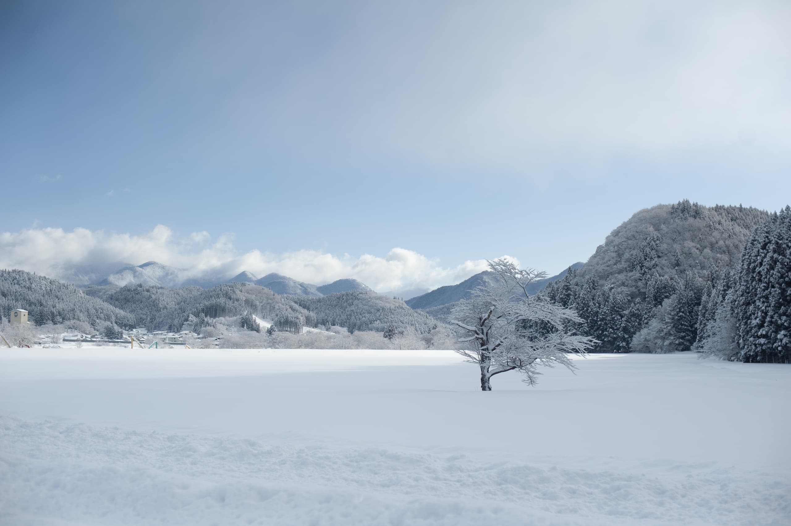yamagata_002.jpg