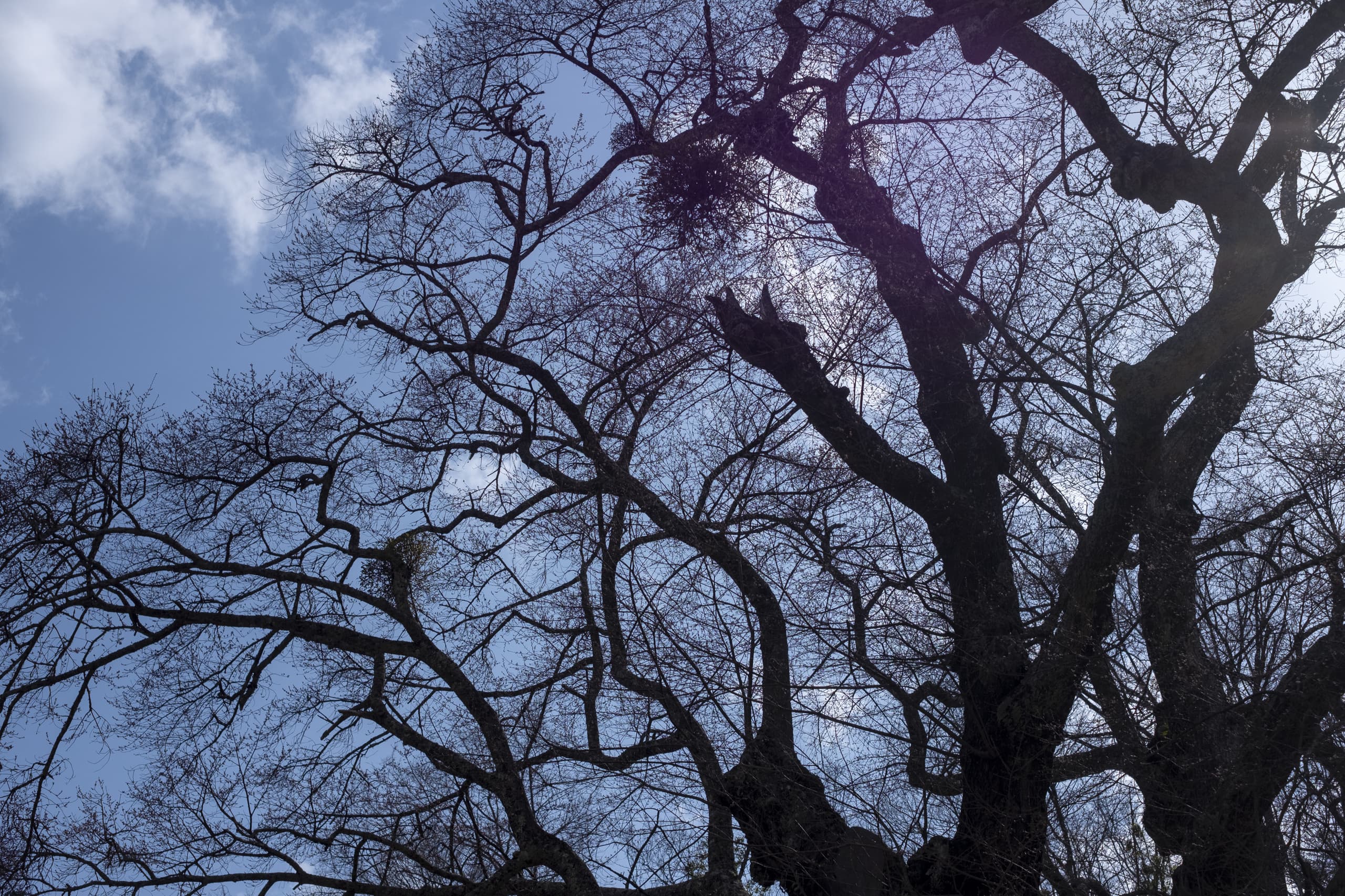 dscf8903.jpg
