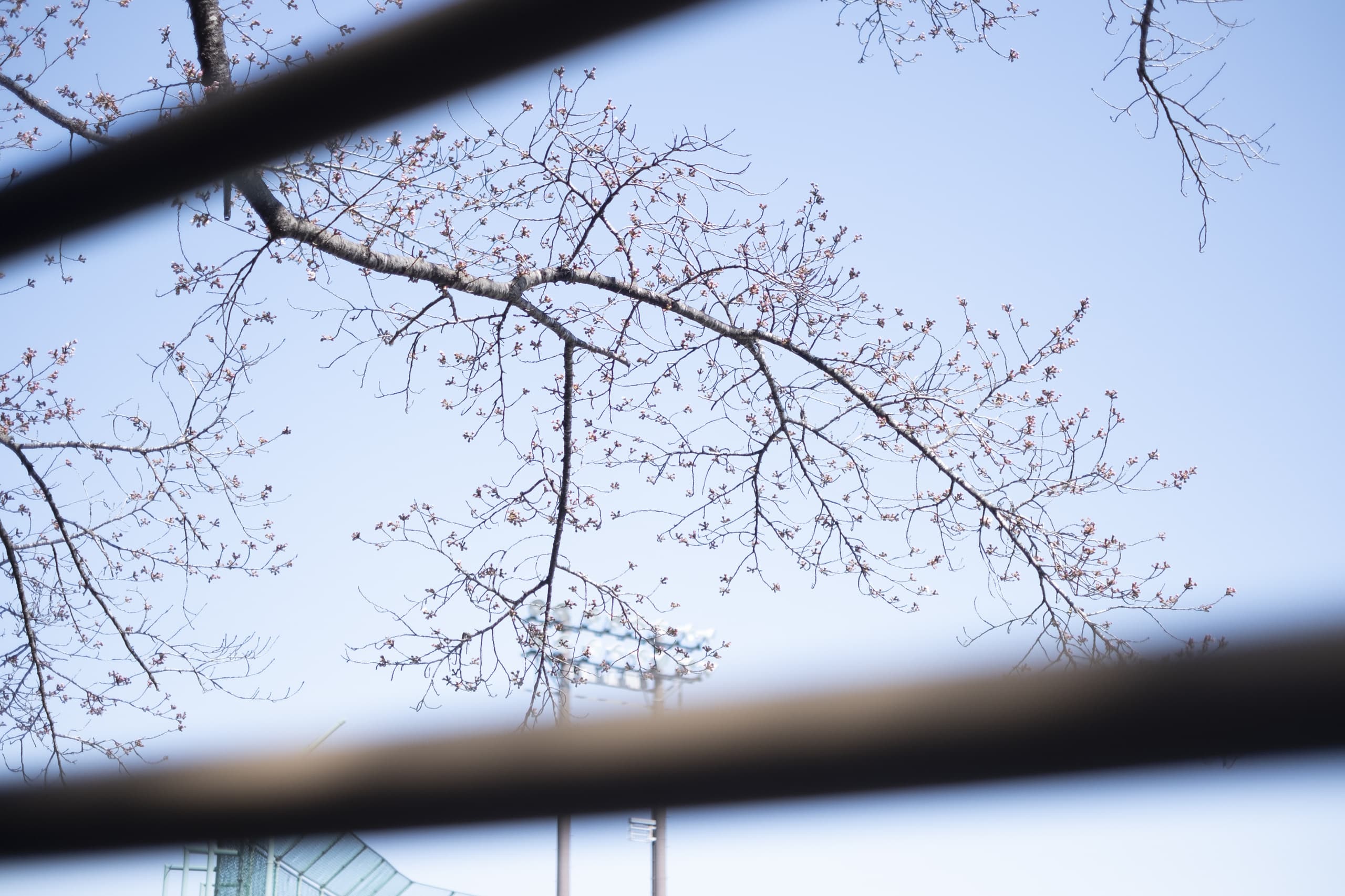 dscf8900.jpg