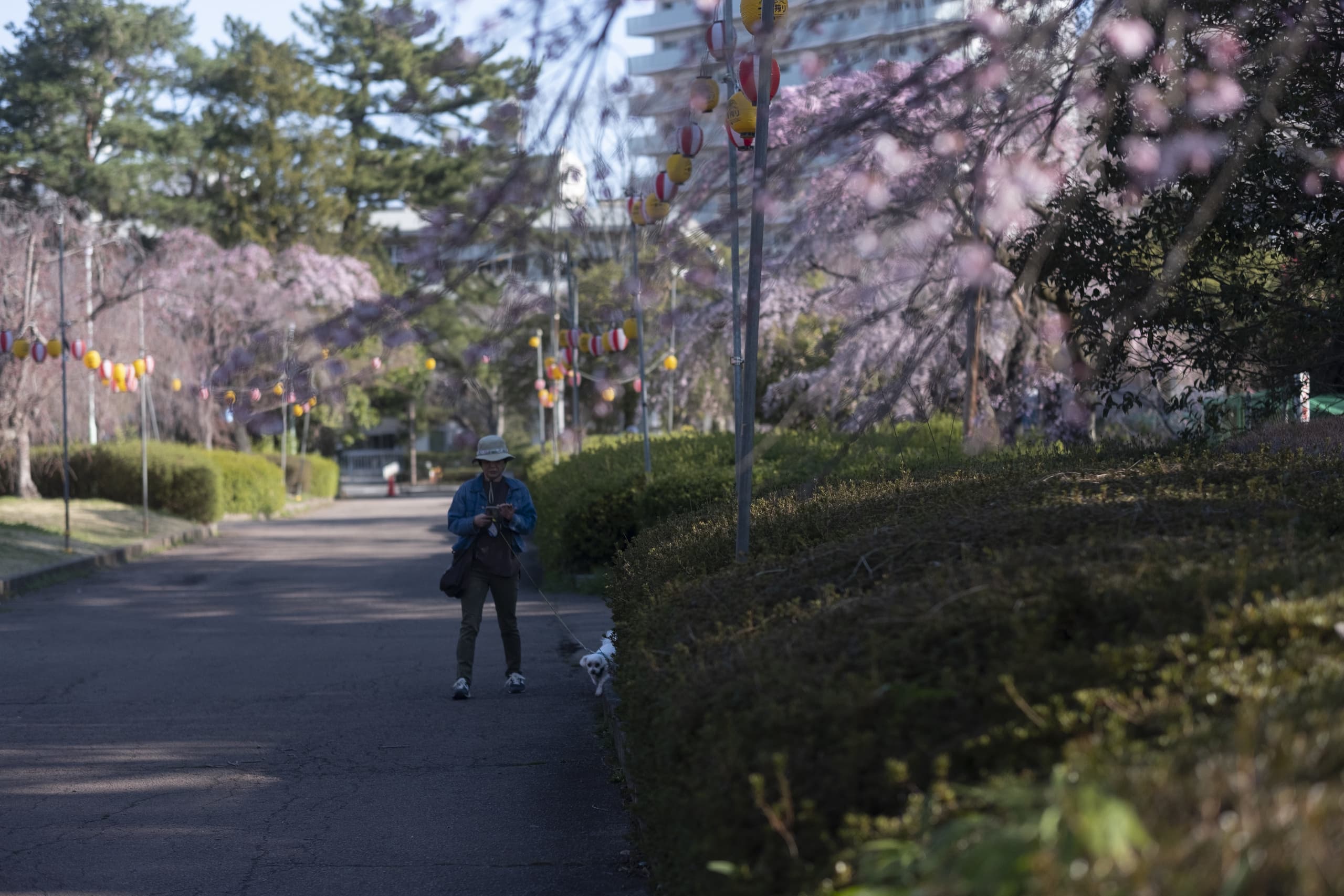 dscf8792.jpg