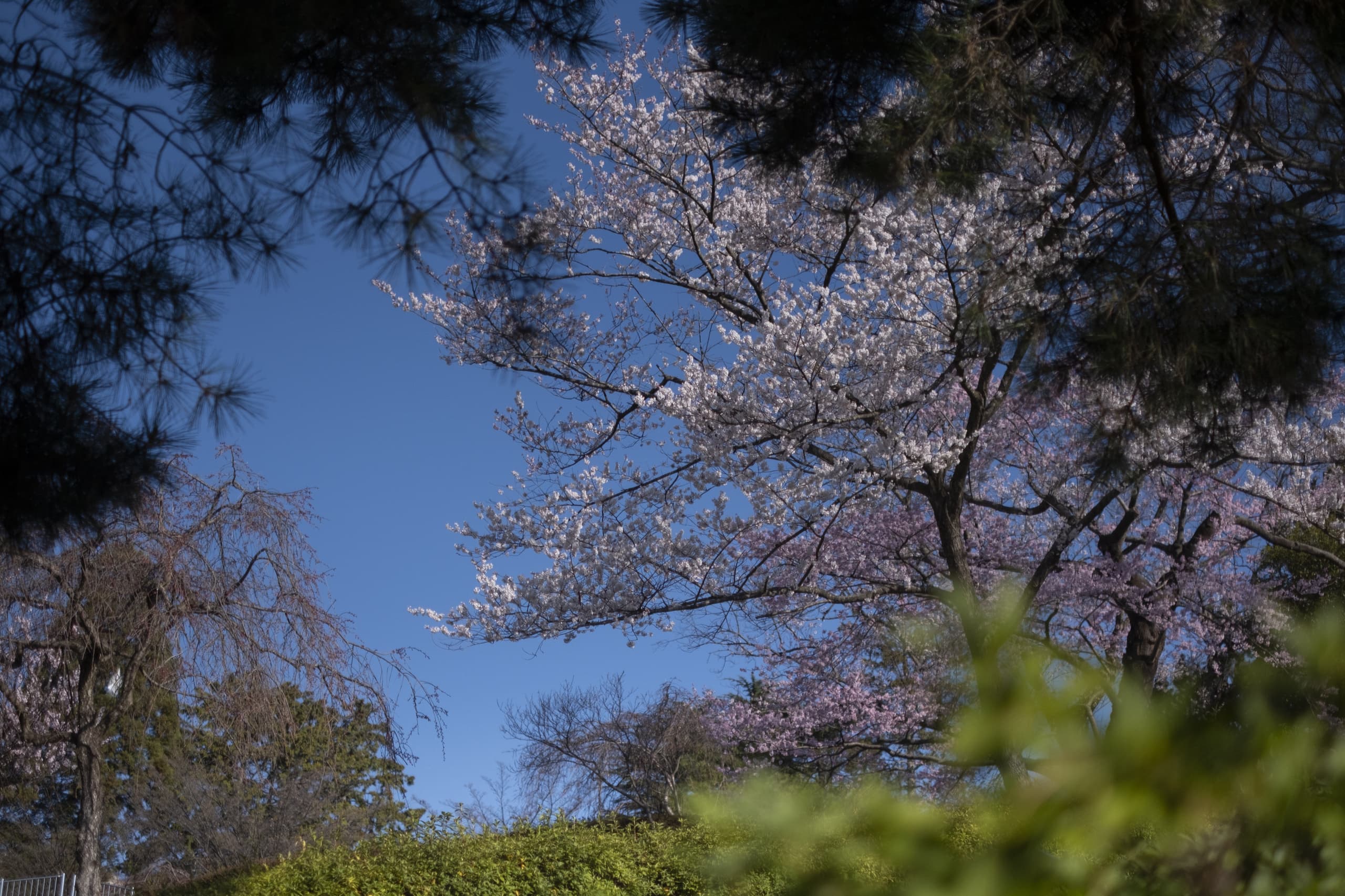 dscf8748.jpg