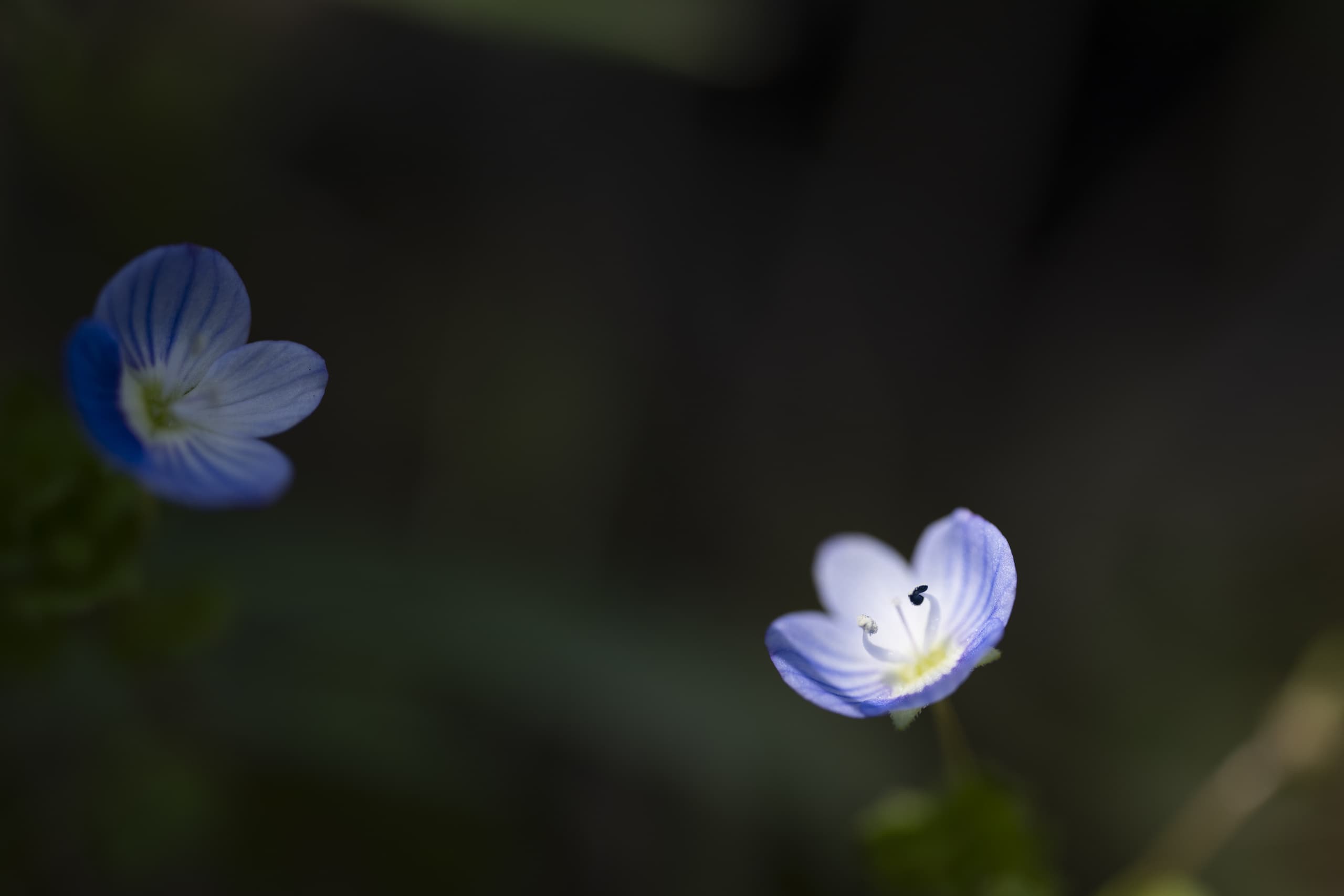dsc_7646.jpg