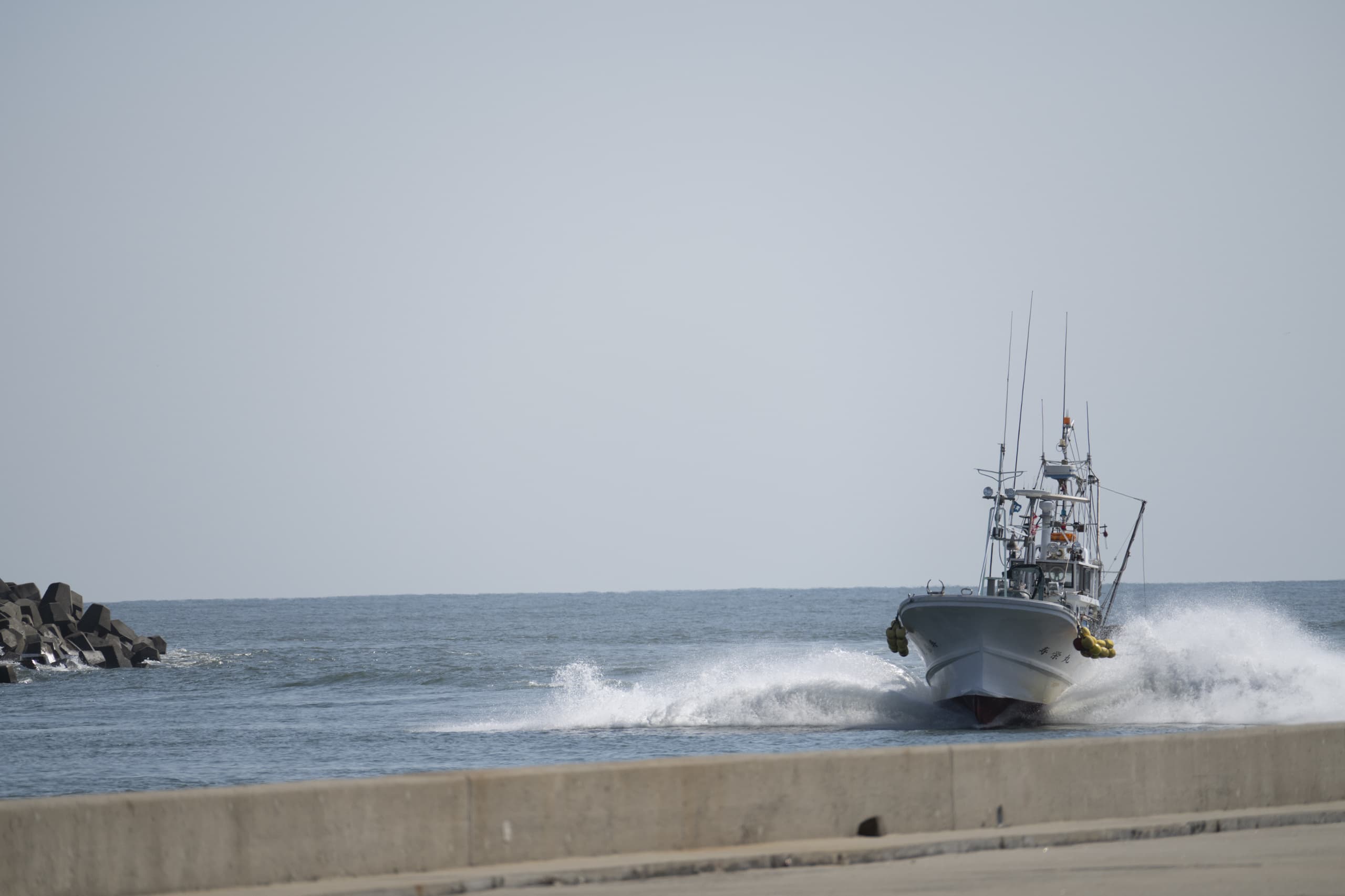 dsc_7506.jpg