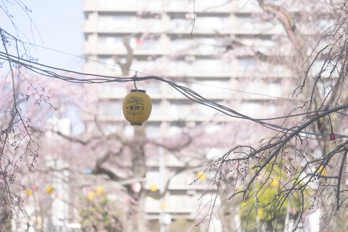 仙台・白石・遠刈田・相馬