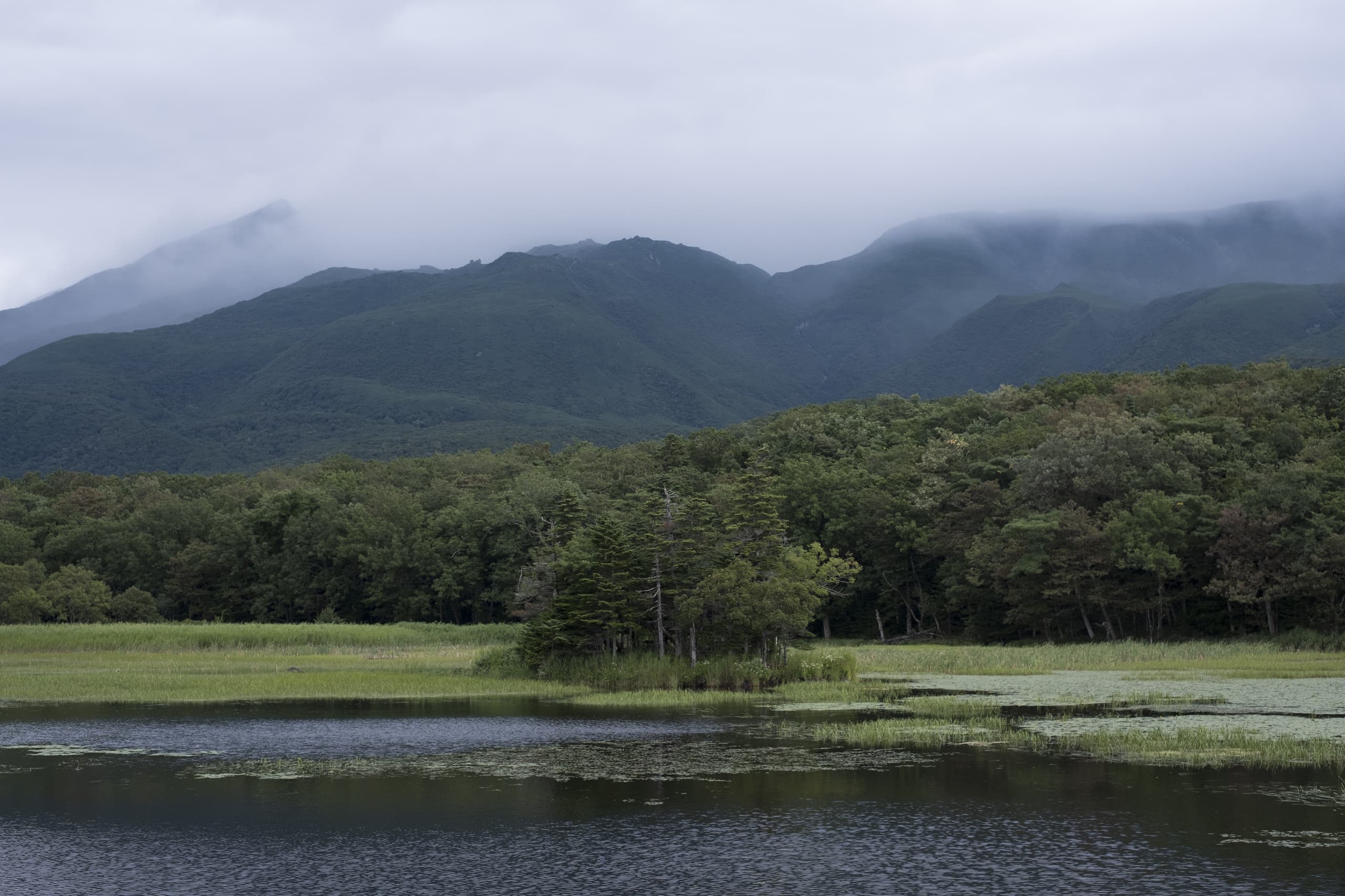 dscf3108.jpg