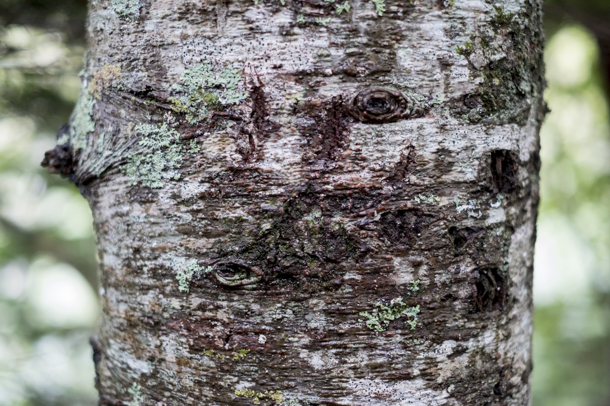 dscf3074.jpg