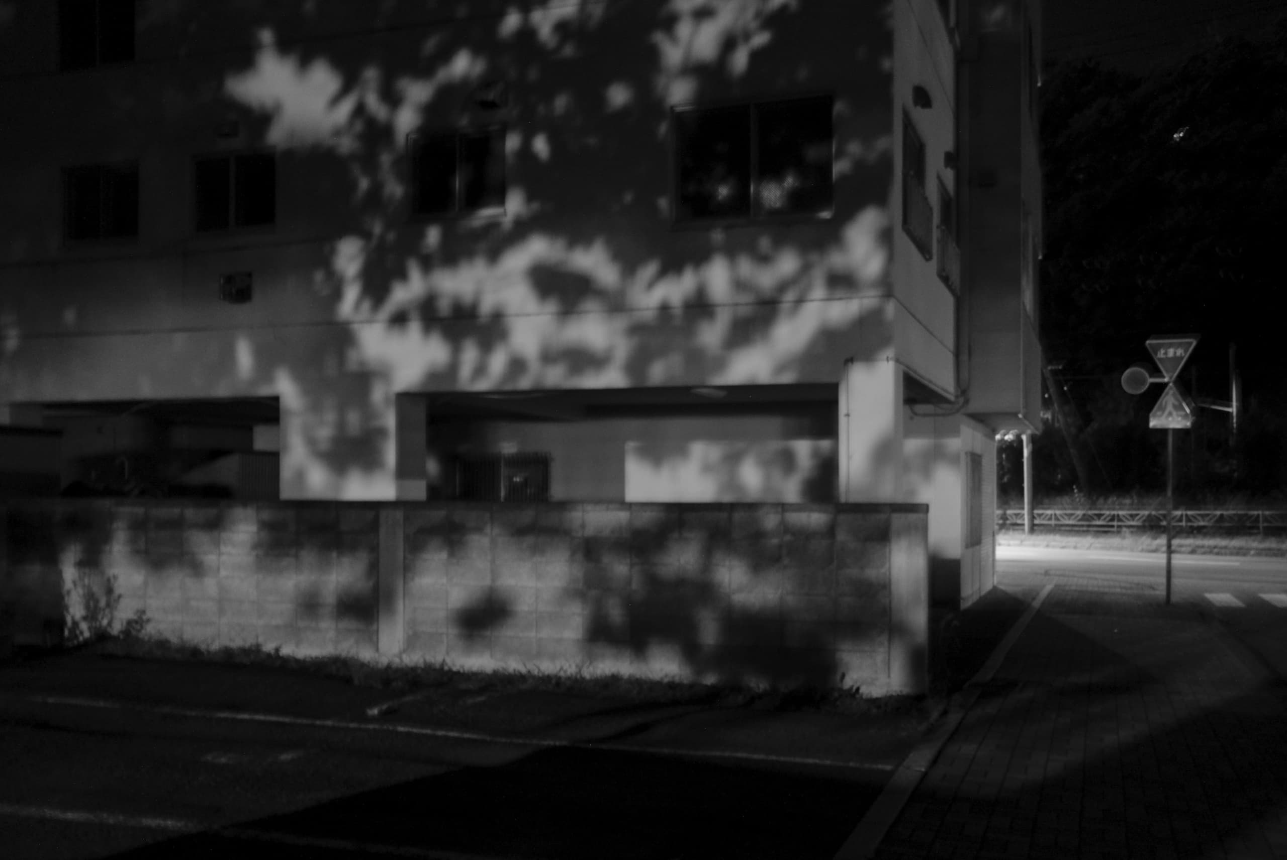 dscf0850.jpg
