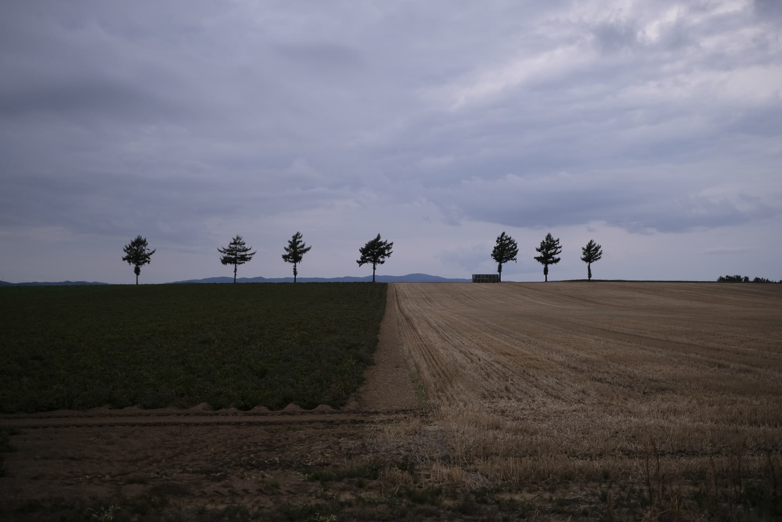 dscf0801.jpg