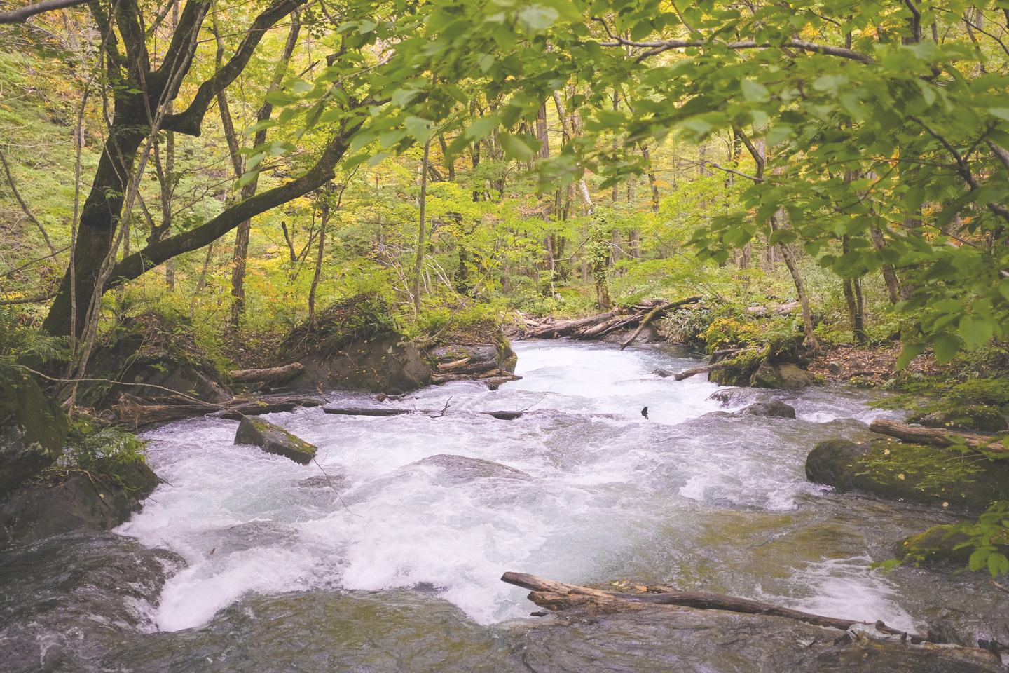2025.10.18-19｜盛岡・八戸・十和田・鹿角