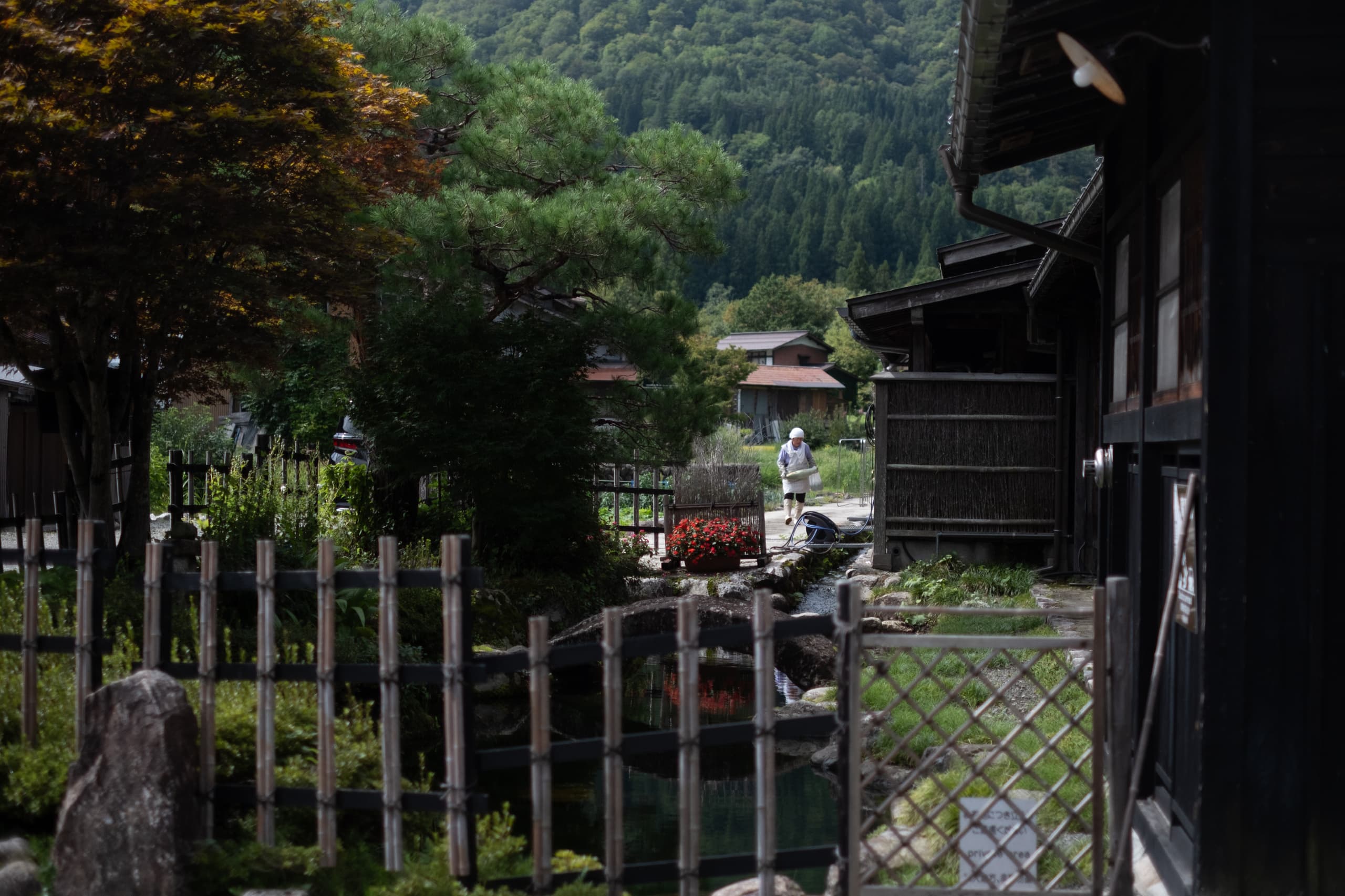 dscf9982.jpg