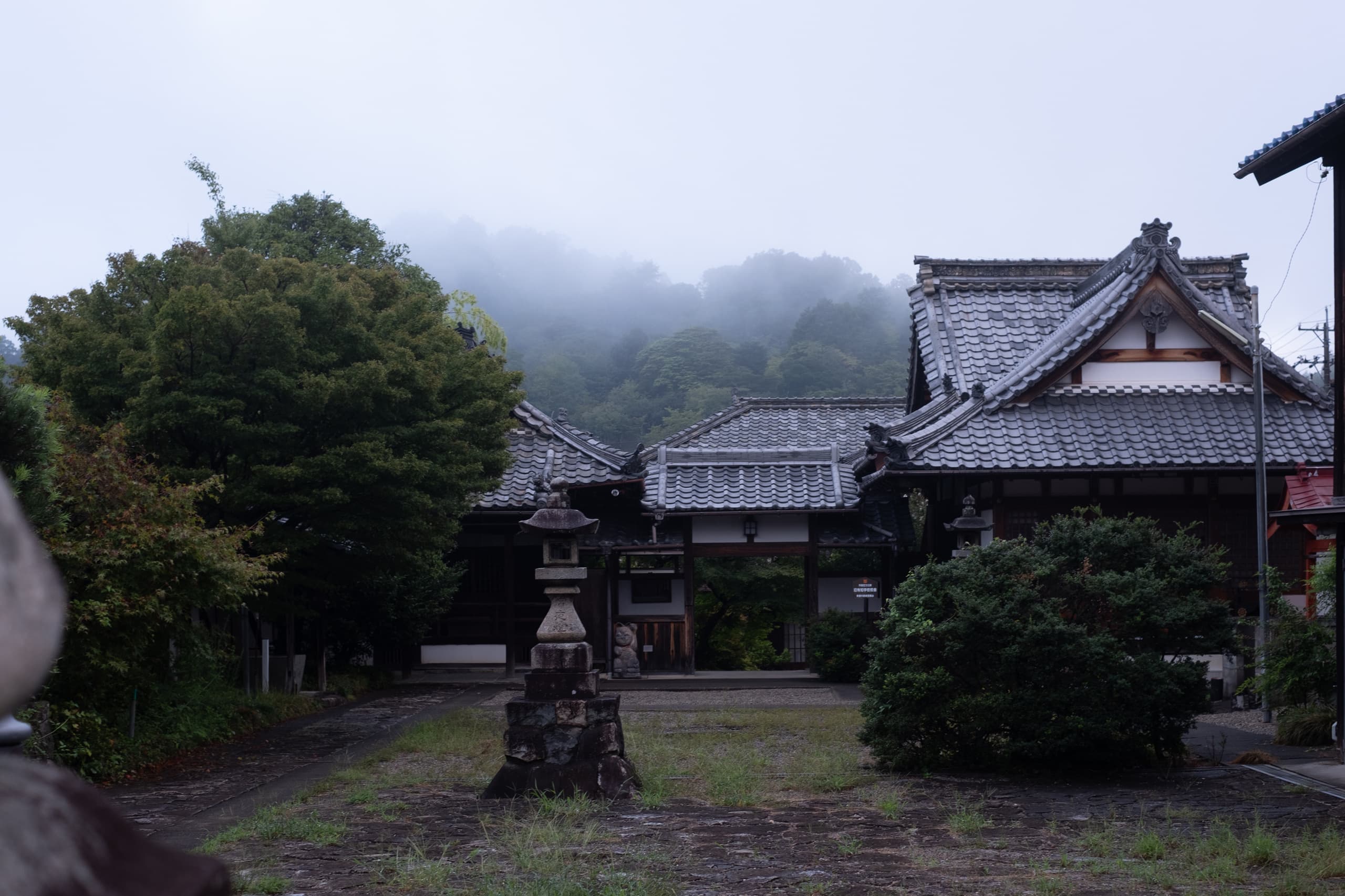 dscf9910.jpg
