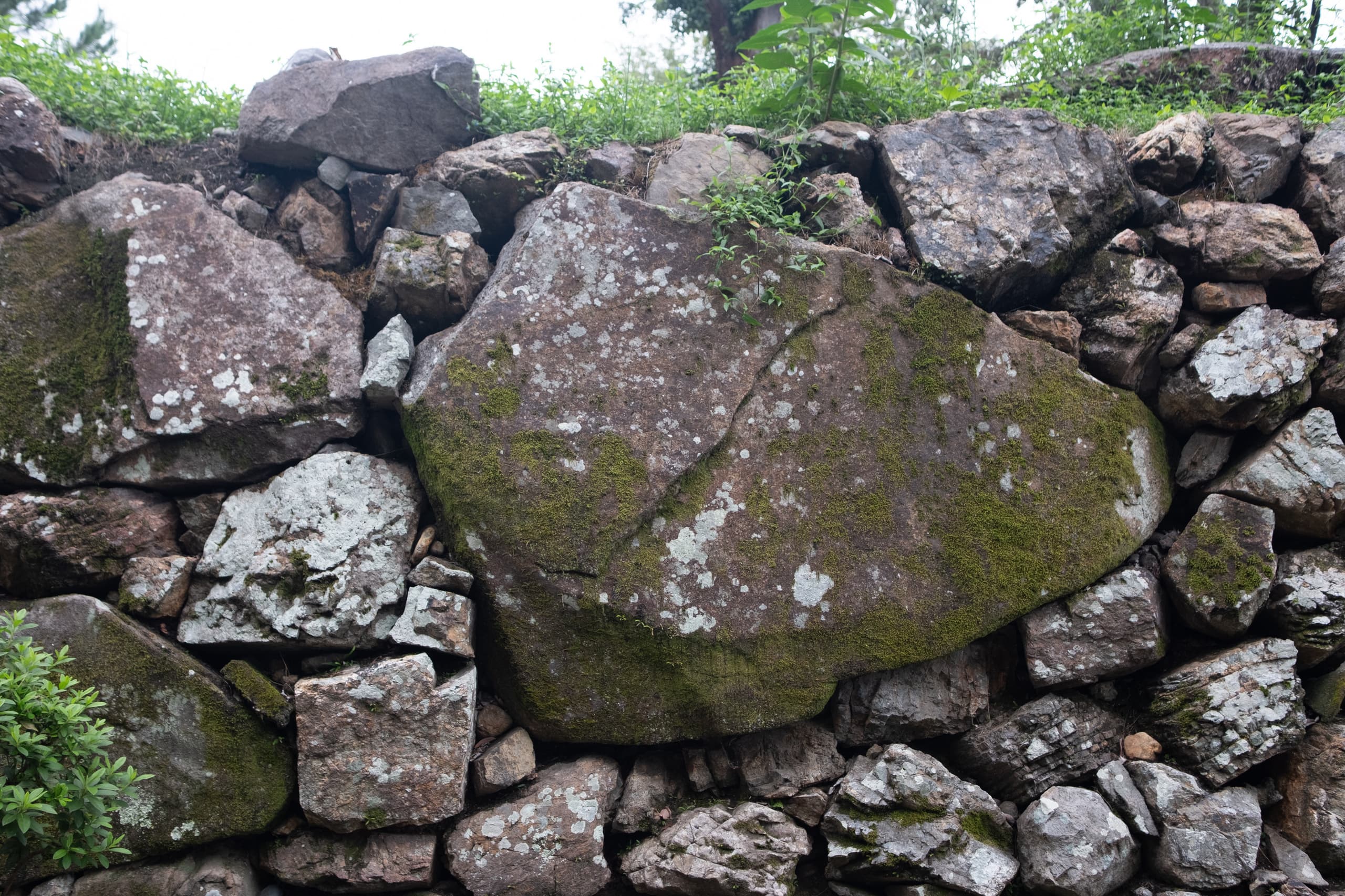 dscf9772.jpg