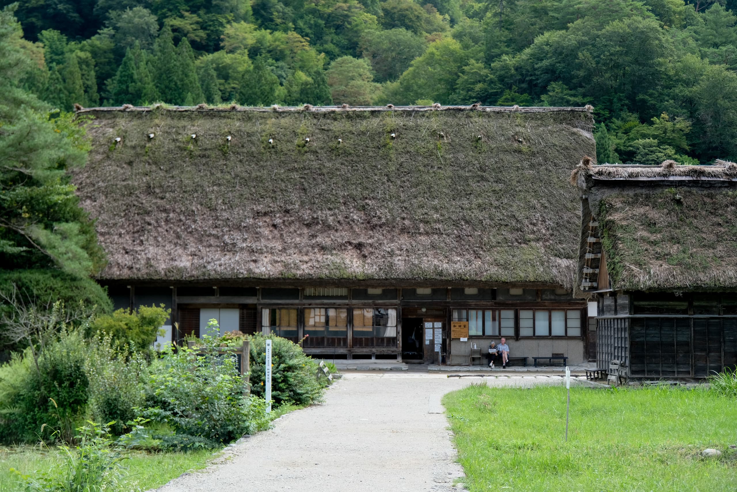 dscf1390.jpg