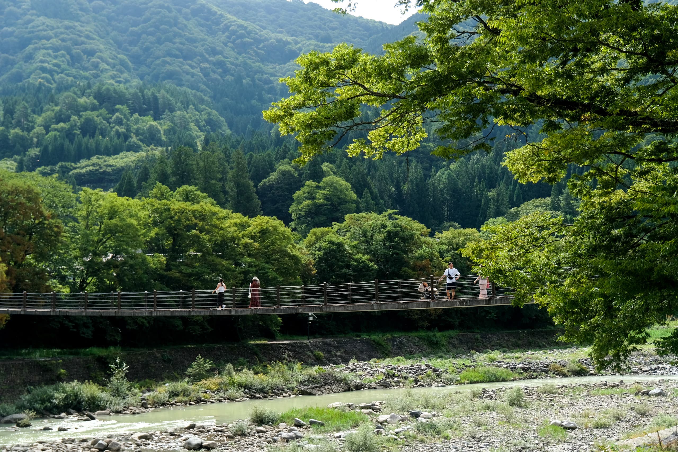 dscf1359.jpg