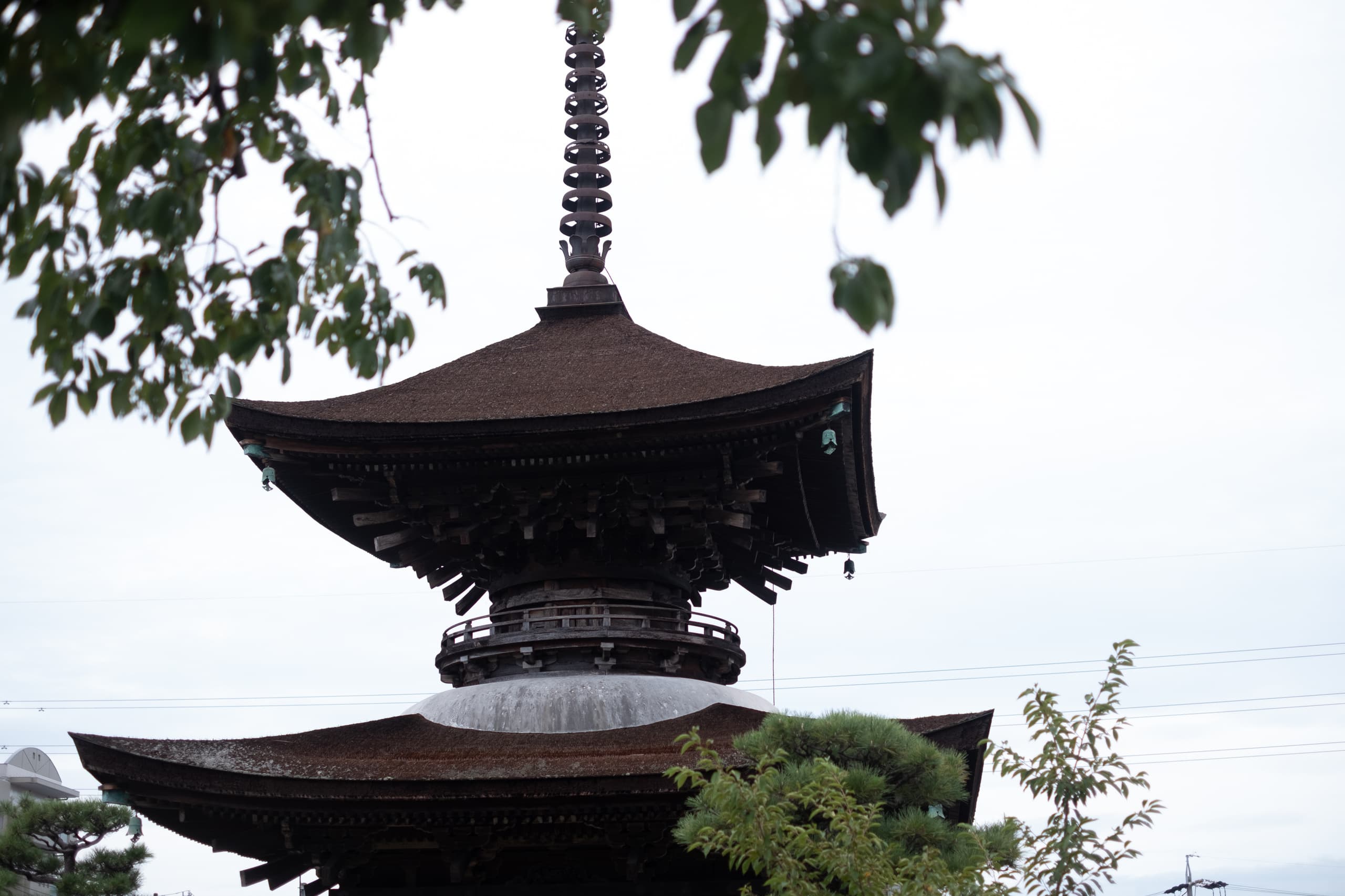dscf0102.jpg