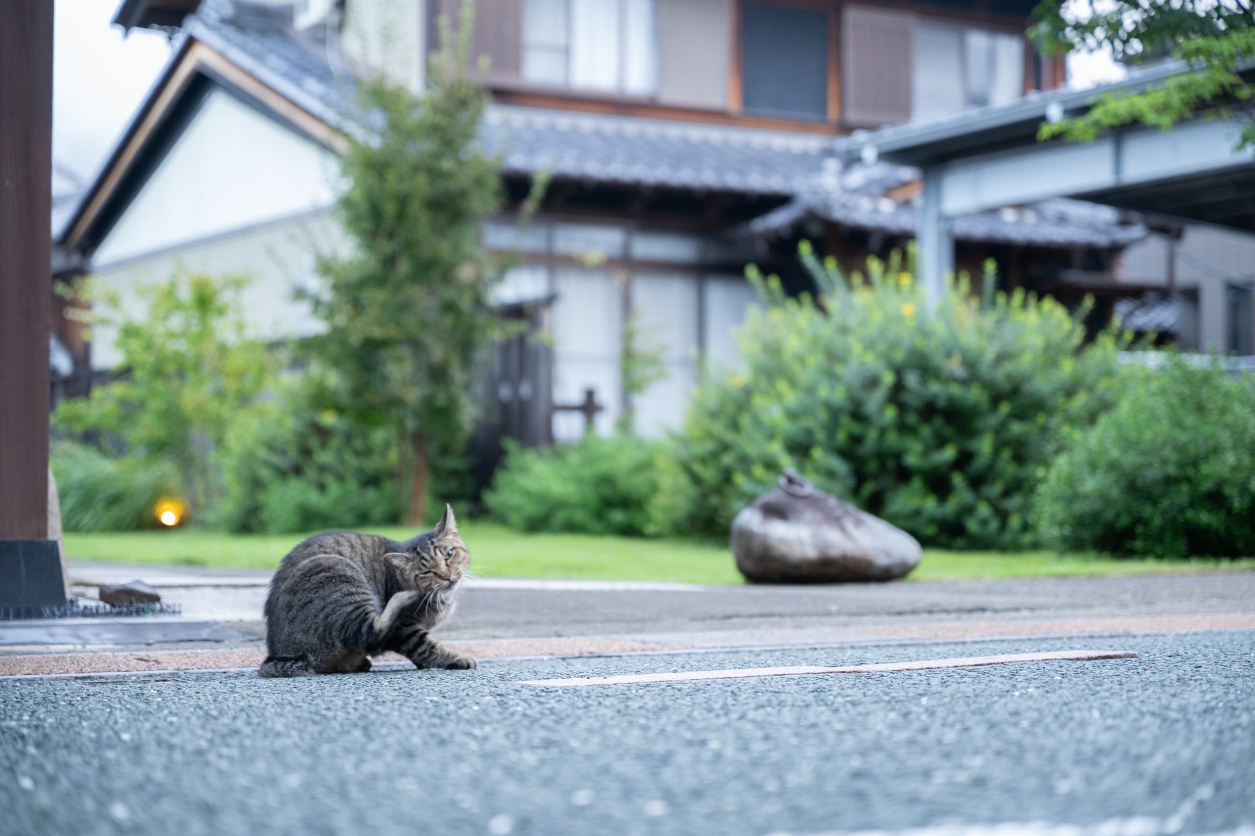 dsc_8120.jpg