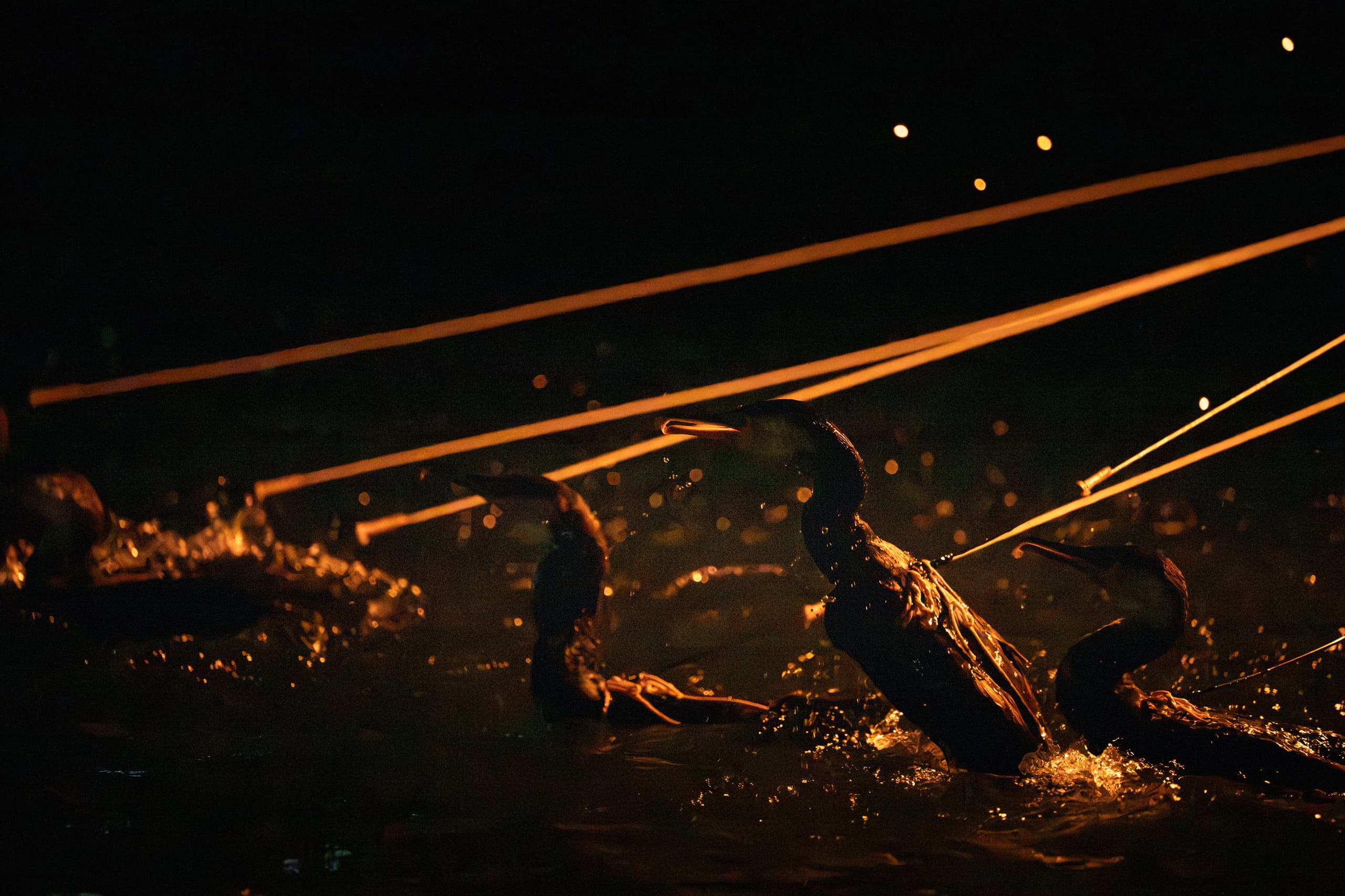 dsc_7737.jpg
