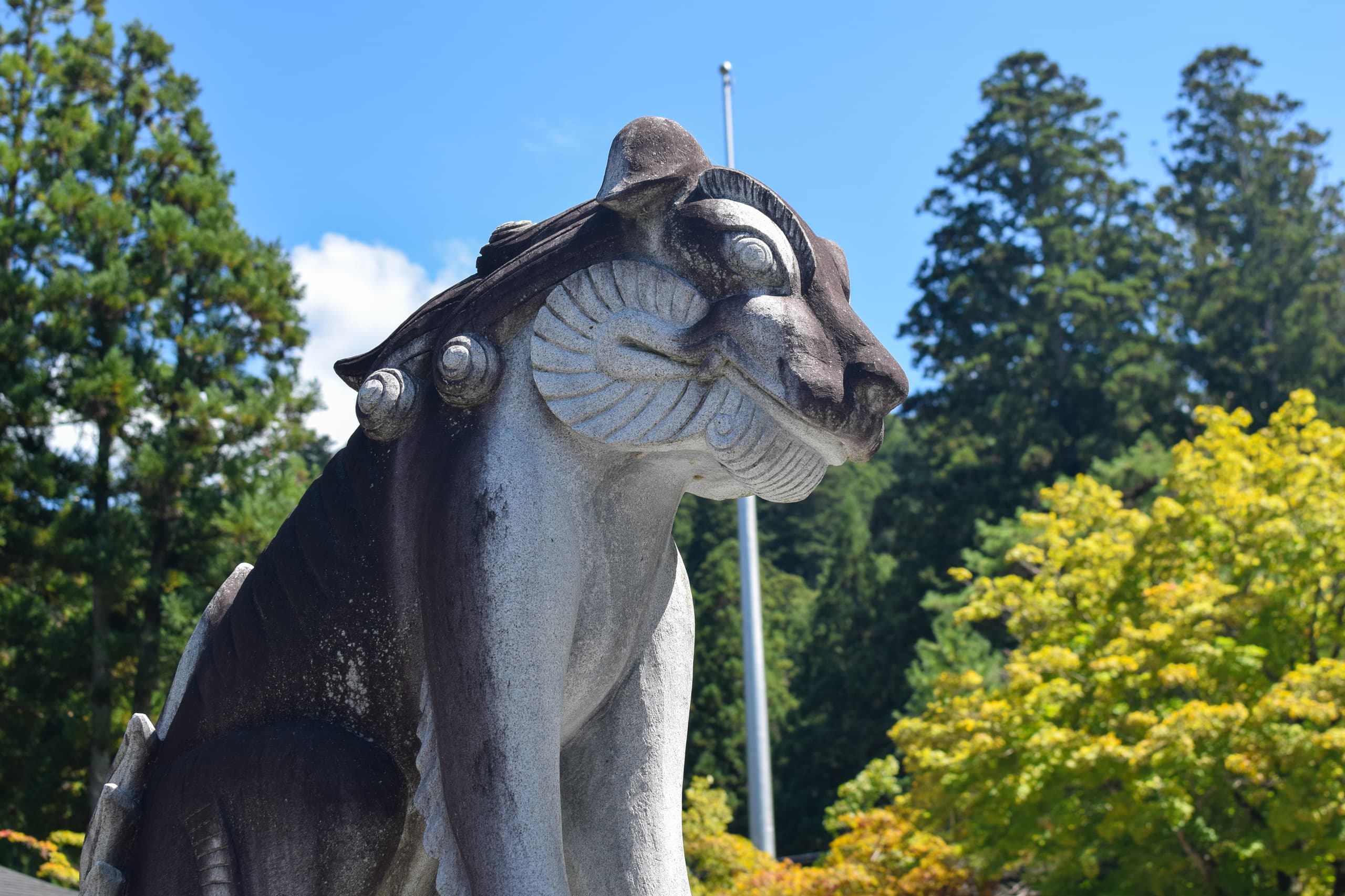 dsc_0231_19.11.40.jpg