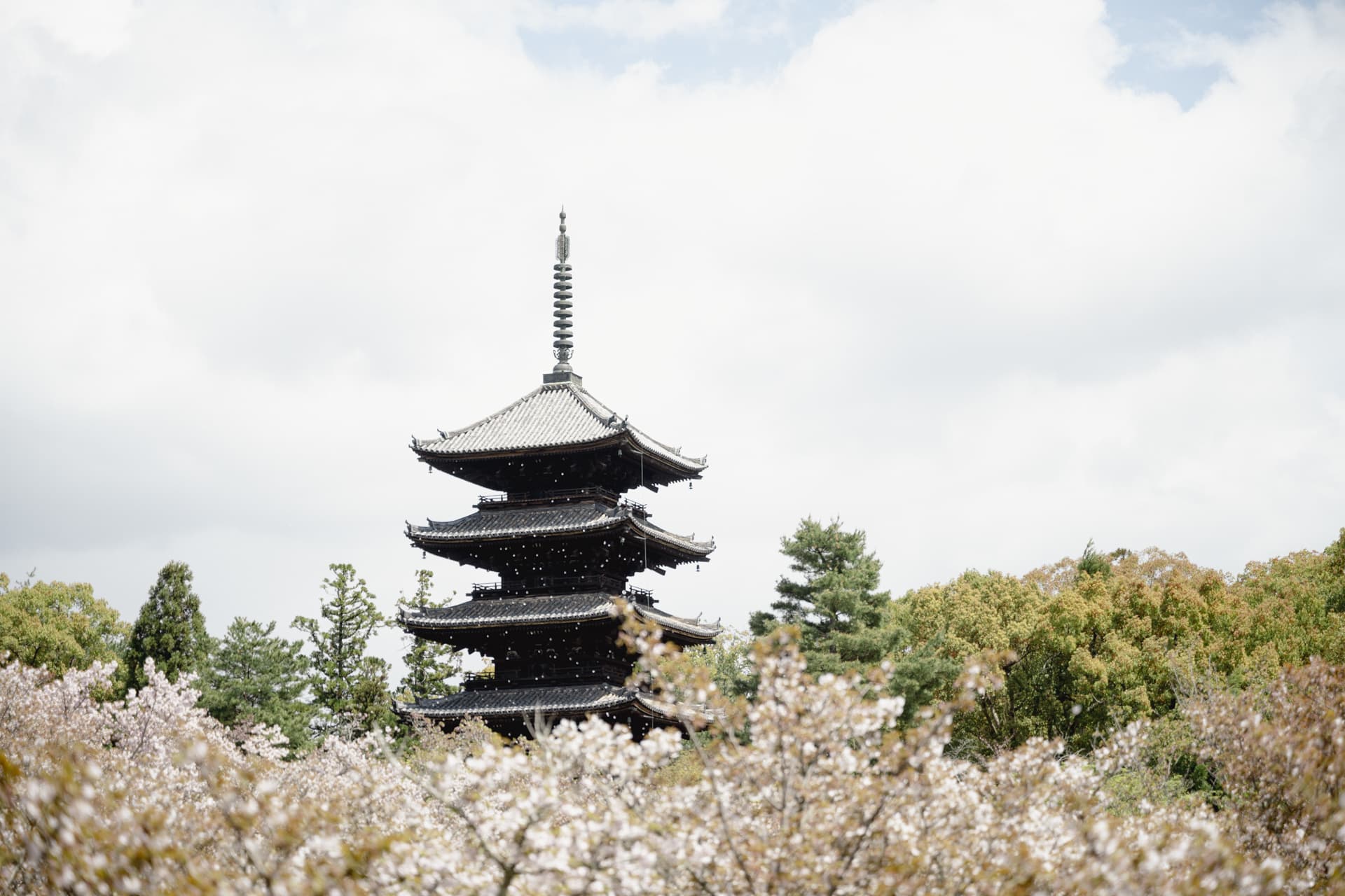 kyoto_051.jpg