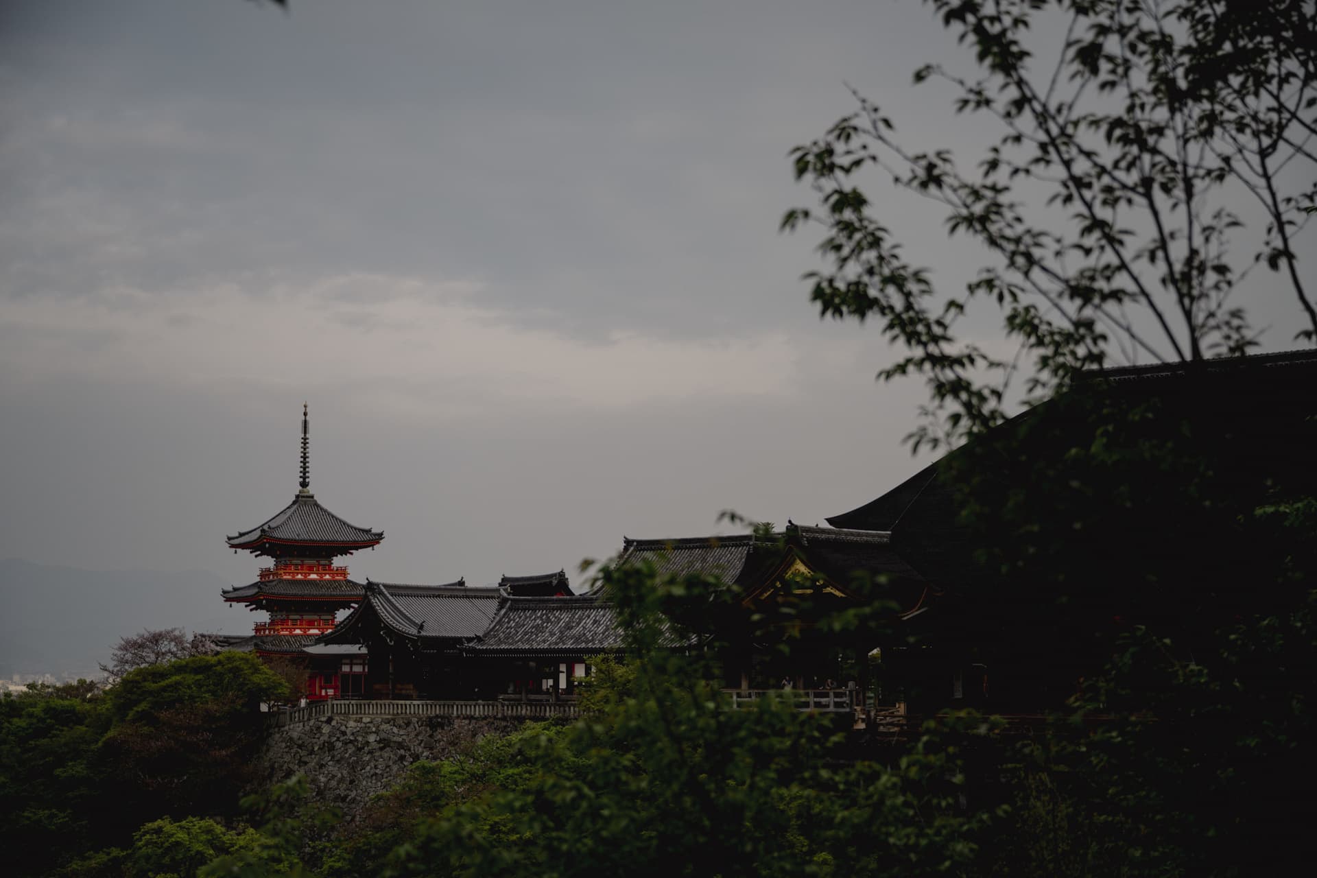 kyoto_013.jpg